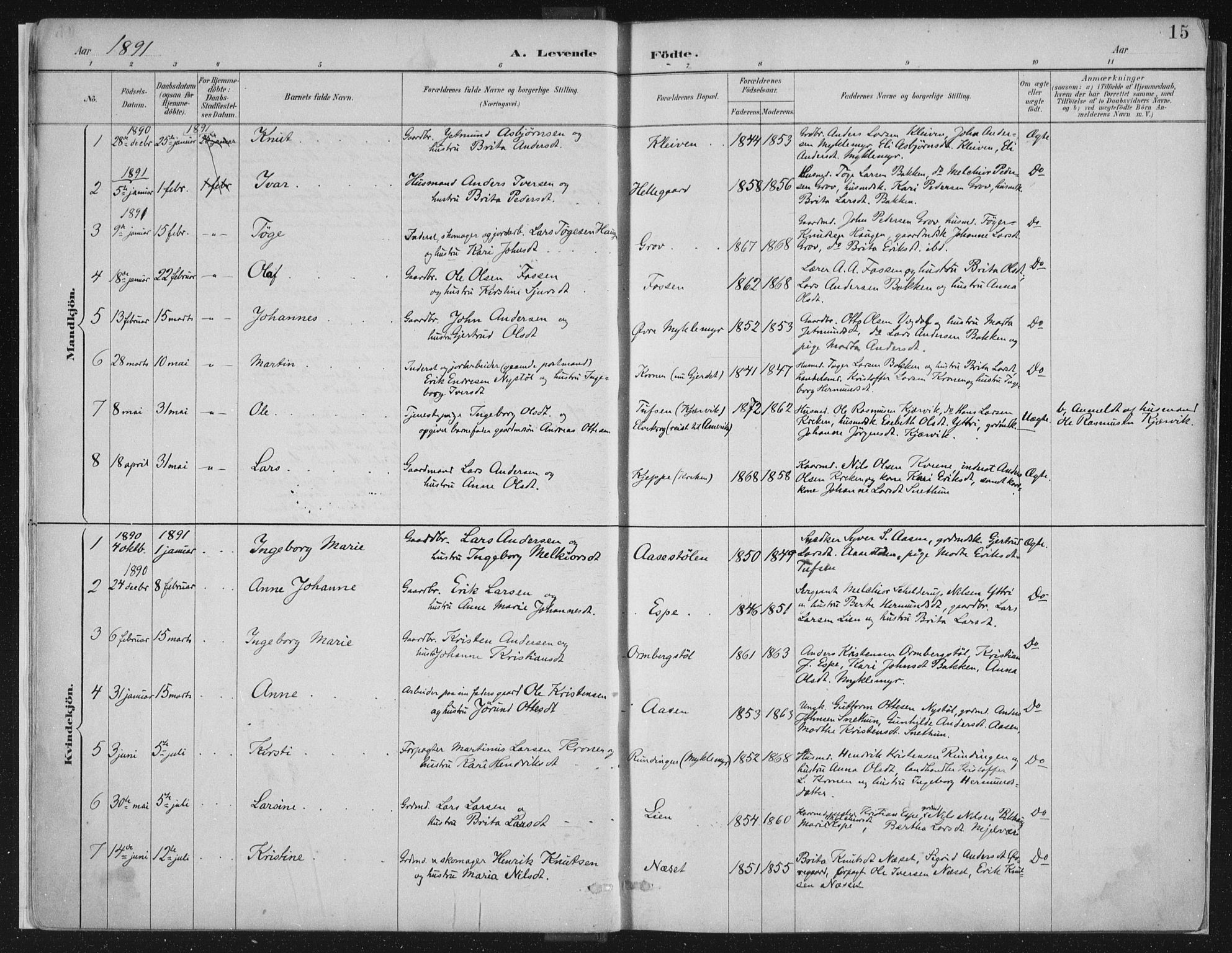 Jostedal sokneprestembete, AV/SAB-A-80601/H/Haa/Haab/L0001: Parish register (official) no. B 1, 1887-1914, p. 15