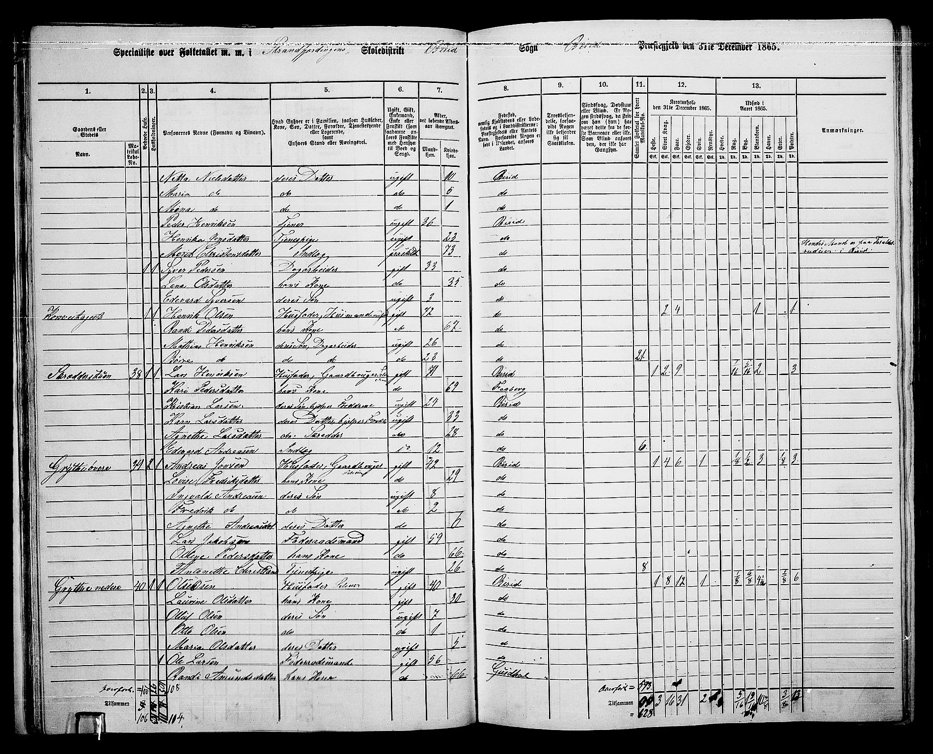 RA, 1865 census for Biri, 1865, p. 32