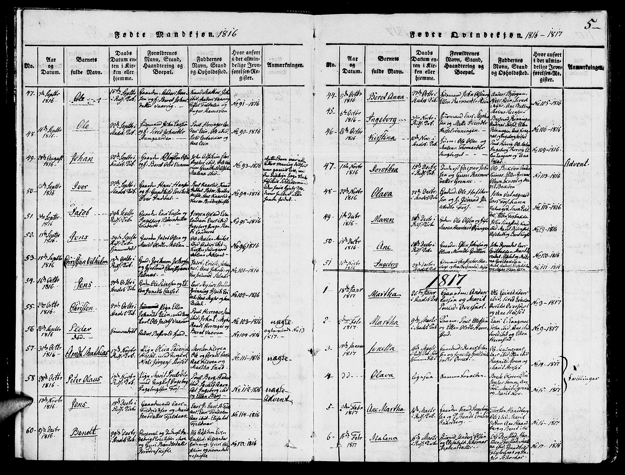 Ministerialprotokoller, klokkerbøker og fødselsregistre - Sør-Trøndelag, SAT/A-1456/646/L0608: Parish register (official) no. 646A06, 1816-1825, p. 5