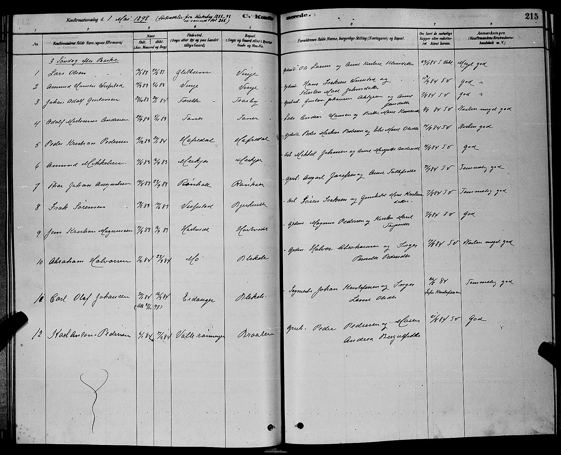 Bamble kirkebøker, SAKO/A-253/G/Ga/L0008: Parish register (copy) no. I 8, 1878-1888, p. 215