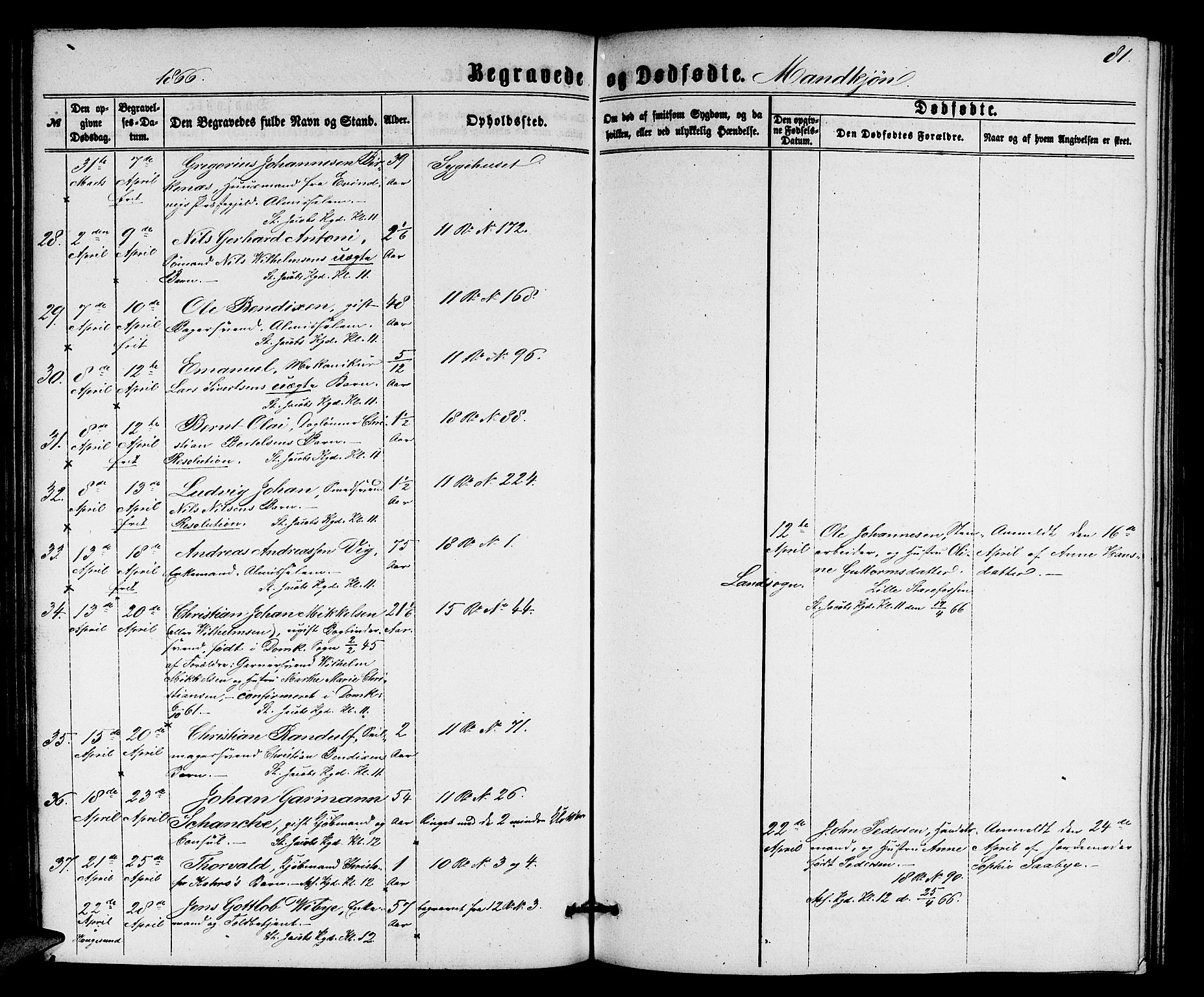 Domkirken sokneprestembete, AV/SAB-A-74801/H/Hab/L0039: Parish register (copy) no. E 3, 1860-1868, p. 81