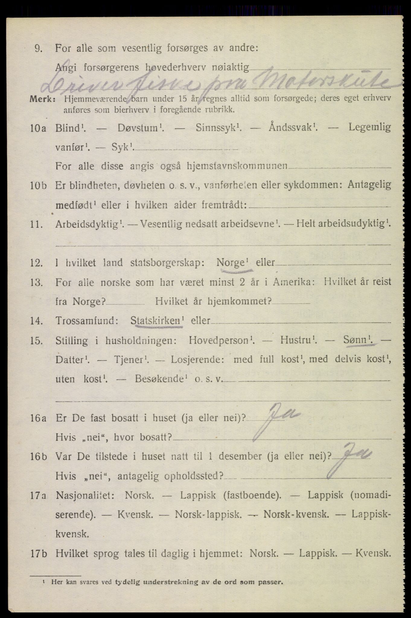 SAT, 1920 census for Bø, 1920, p. 6405