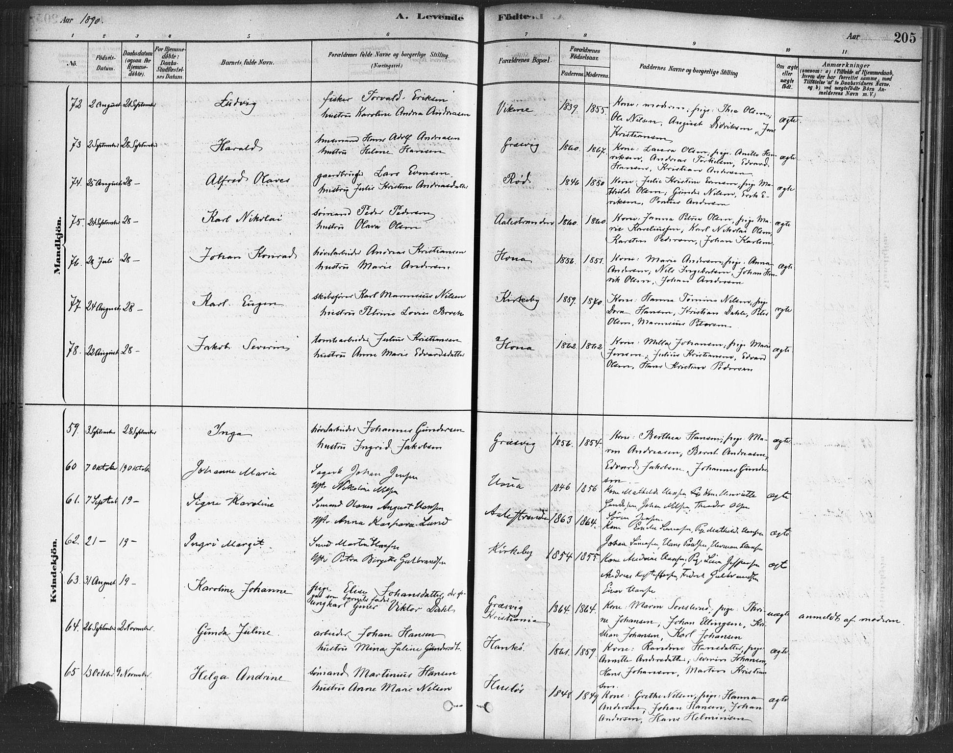 Onsøy prestekontor Kirkebøker, AV/SAO-A-10914/F/Fa/L0005: Parish register (official) no. I 5, 1878-1898, p. 205
