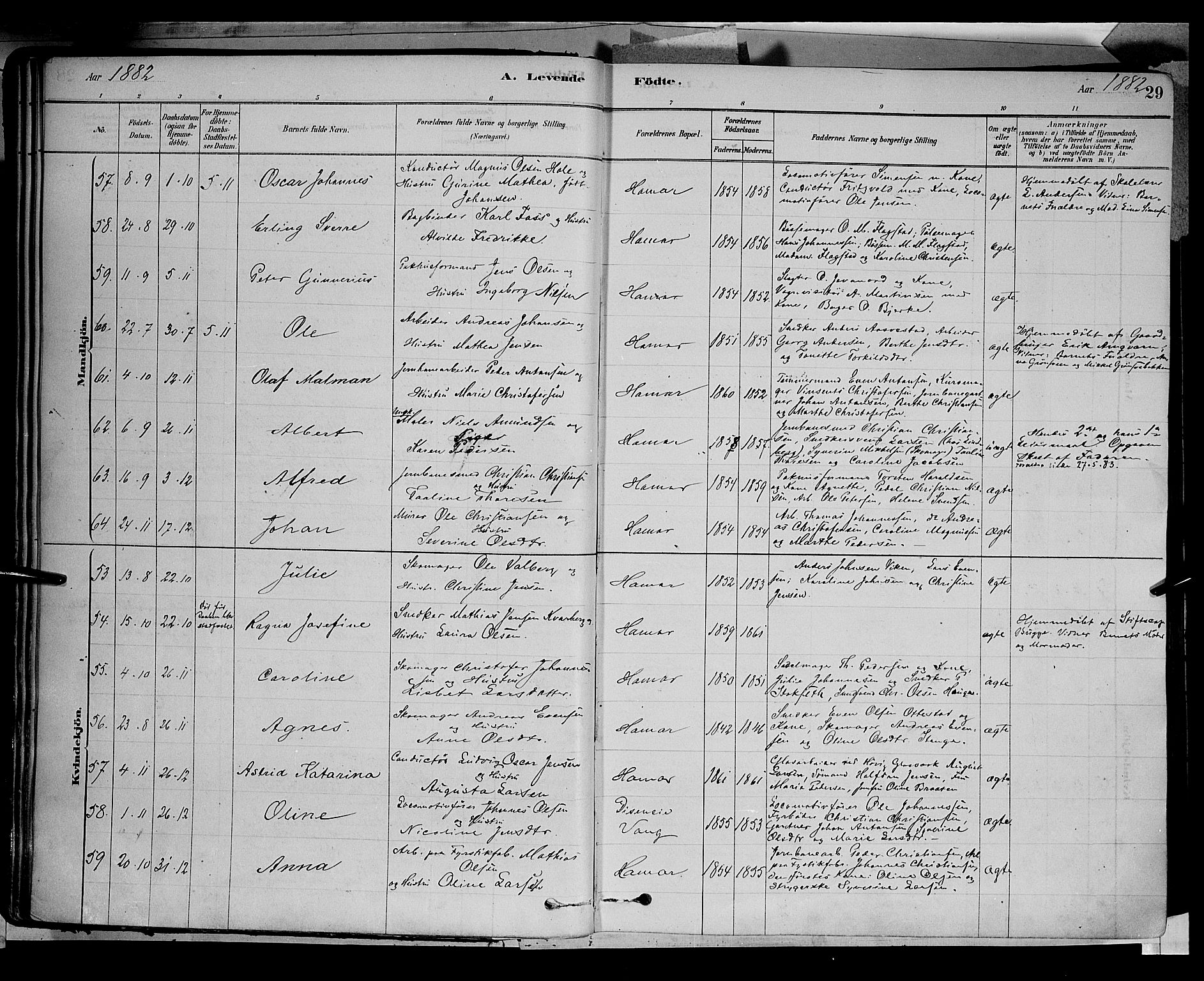 Vang prestekontor, Hedmark, AV/SAH-PREST-008/H/Ha/Haa/L0016: Parish register (official) no. 16, 1878-1889, p. 29