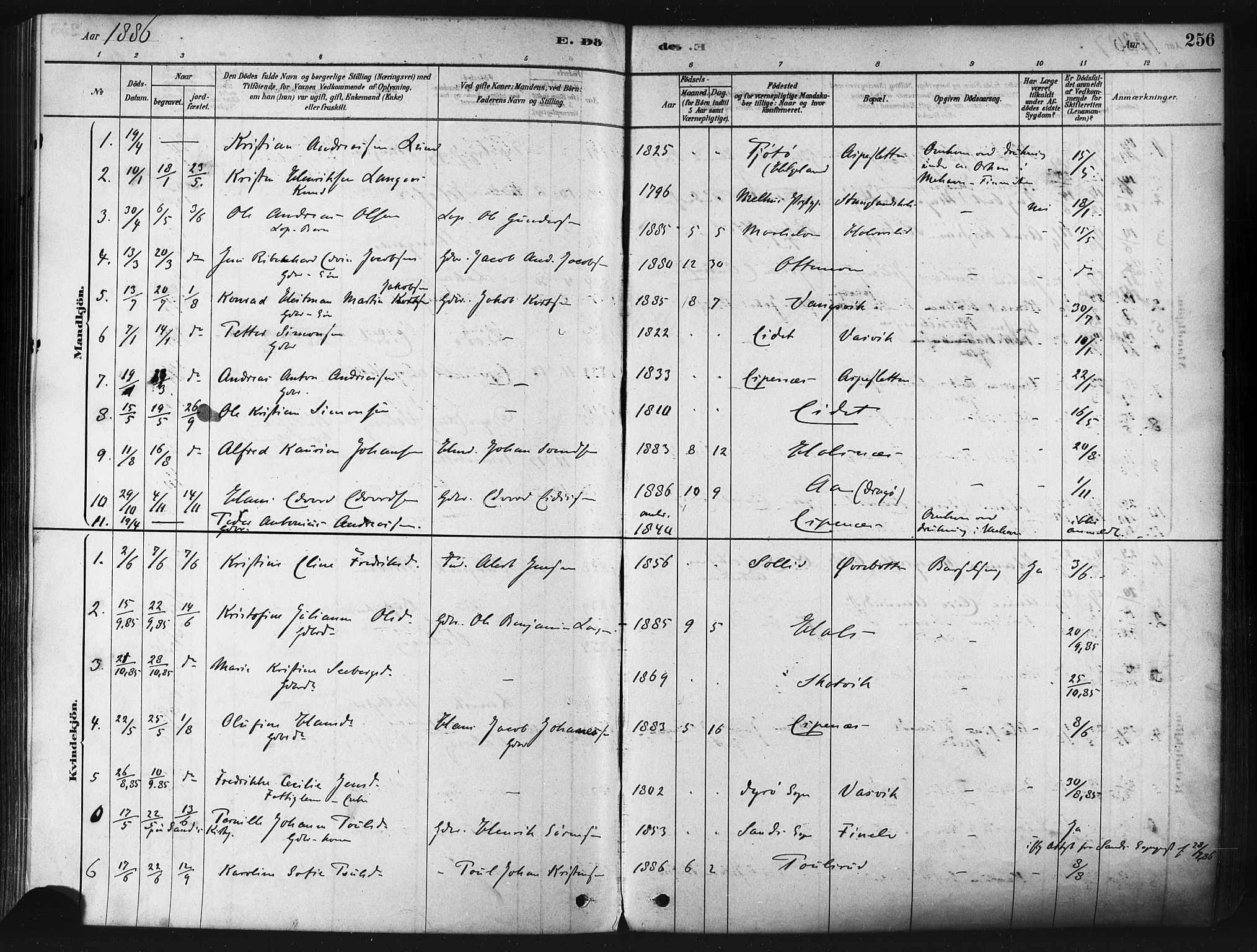Tranøy sokneprestkontor, SATØ/S-1313/I/Ia/Iaa/L0009kirke: Parish register (official) no. 9, 1878-1904, p. 256