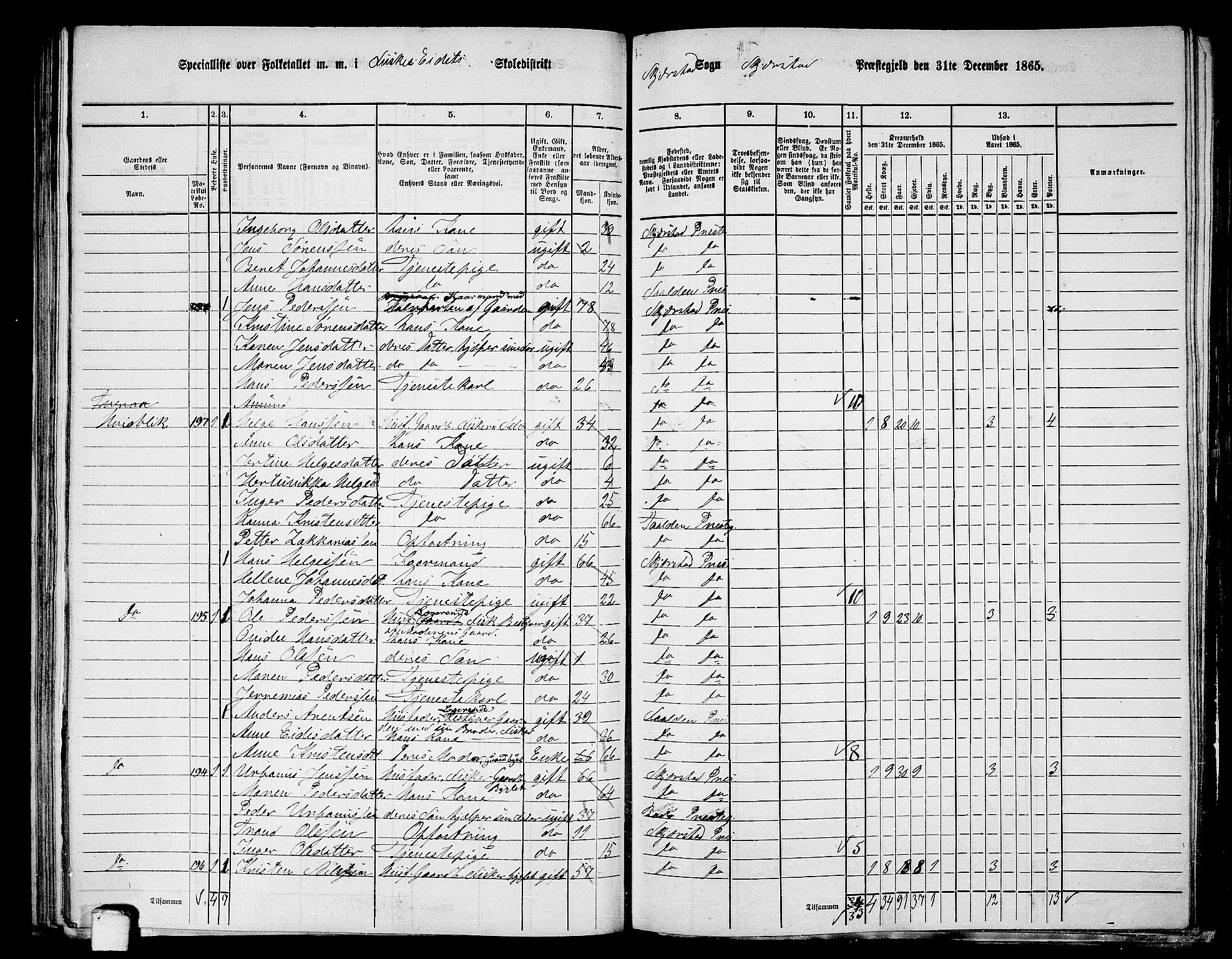 RA, 1865 census for Skjerstad, 1865, p. 95