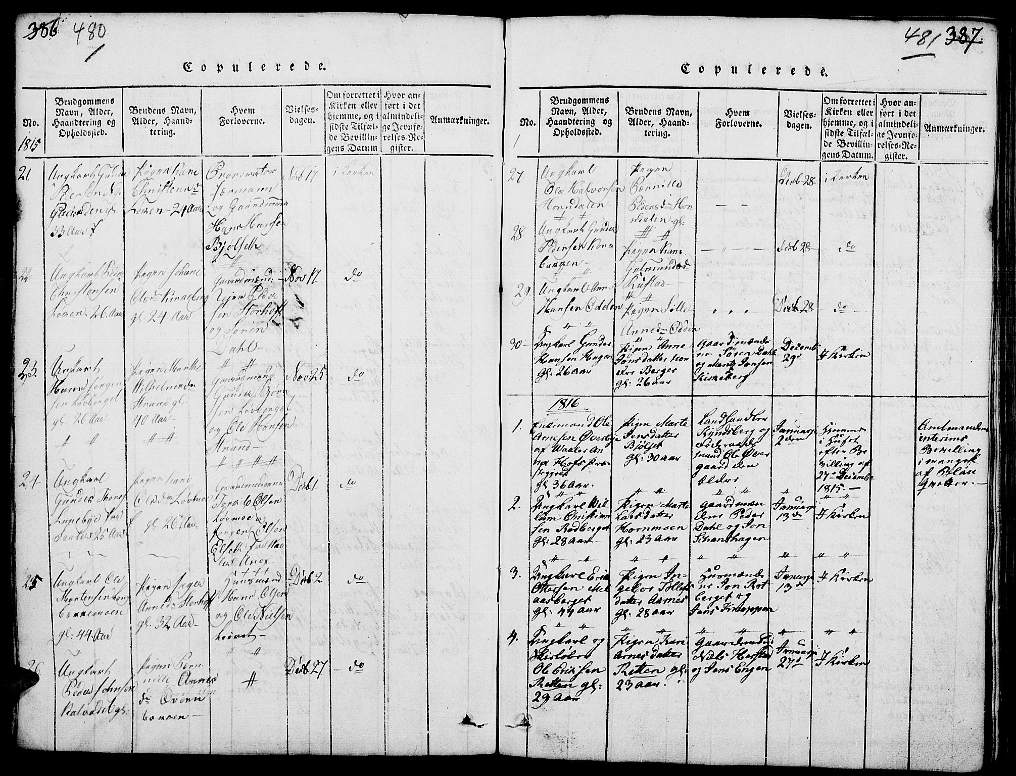 Elverum prestekontor, SAH/PREST-044/H/Ha/Hab/L0001: Parish register (copy) no. 1, 1815-1829, p. 480-481