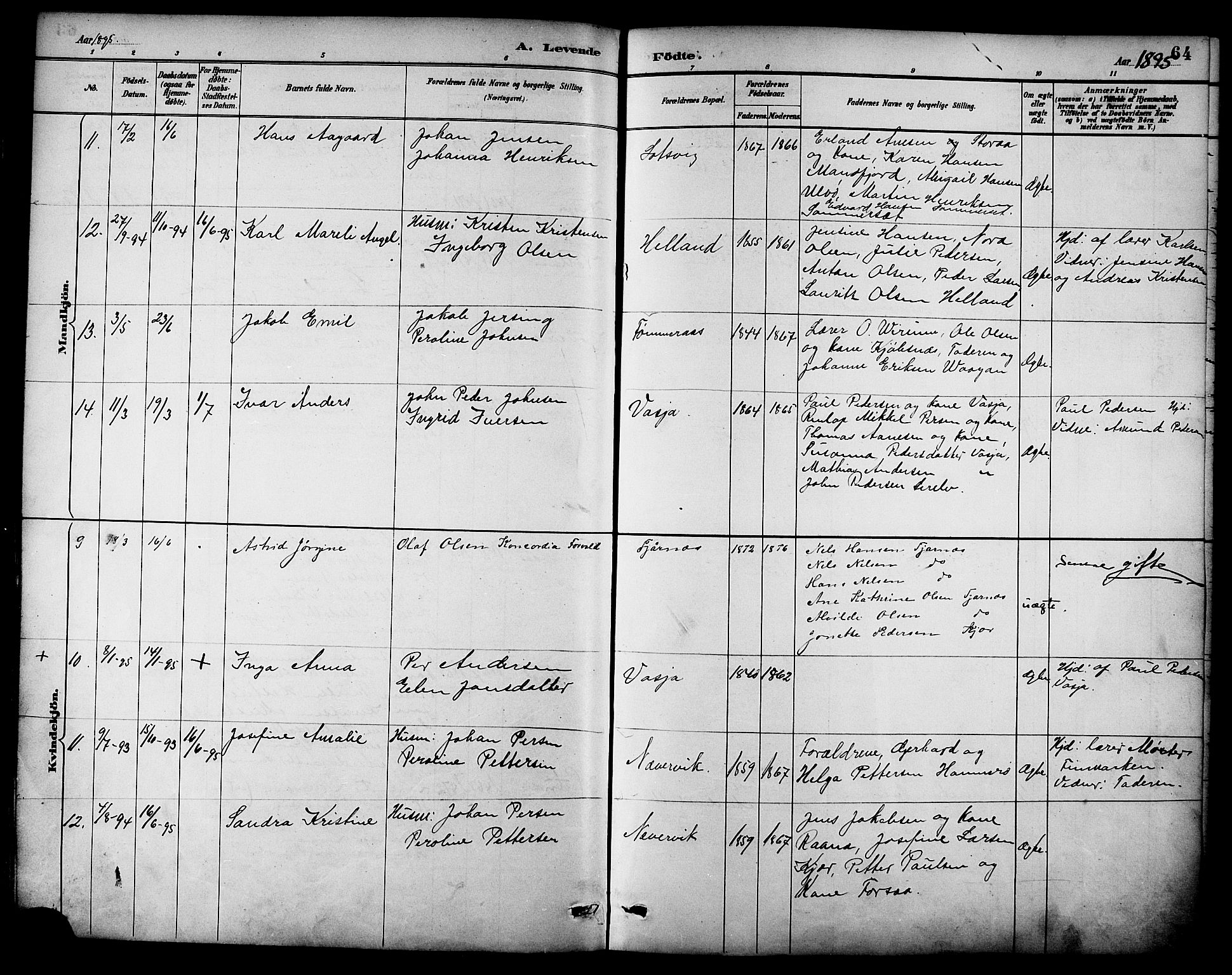 Ministerialprotokoller, klokkerbøker og fødselsregistre - Nordland, SAT/A-1459/861/L0869: Parish register (official) no. 861A04, 1889-1903, p. 64