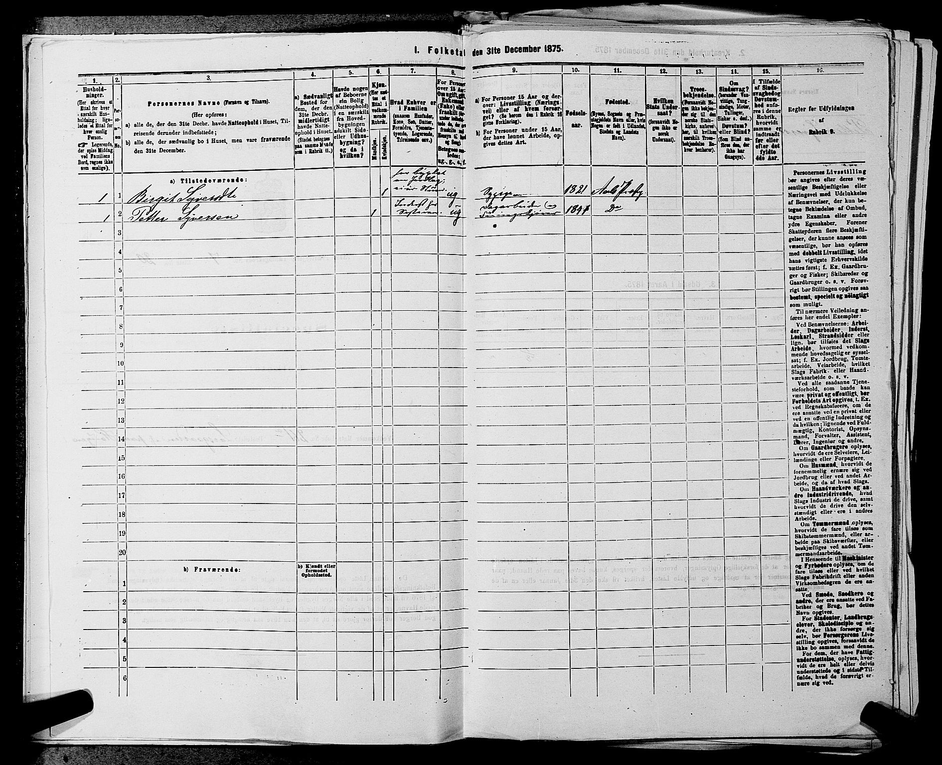 SAKO, 1875 census for 0619P Ål, 1875, p. 875