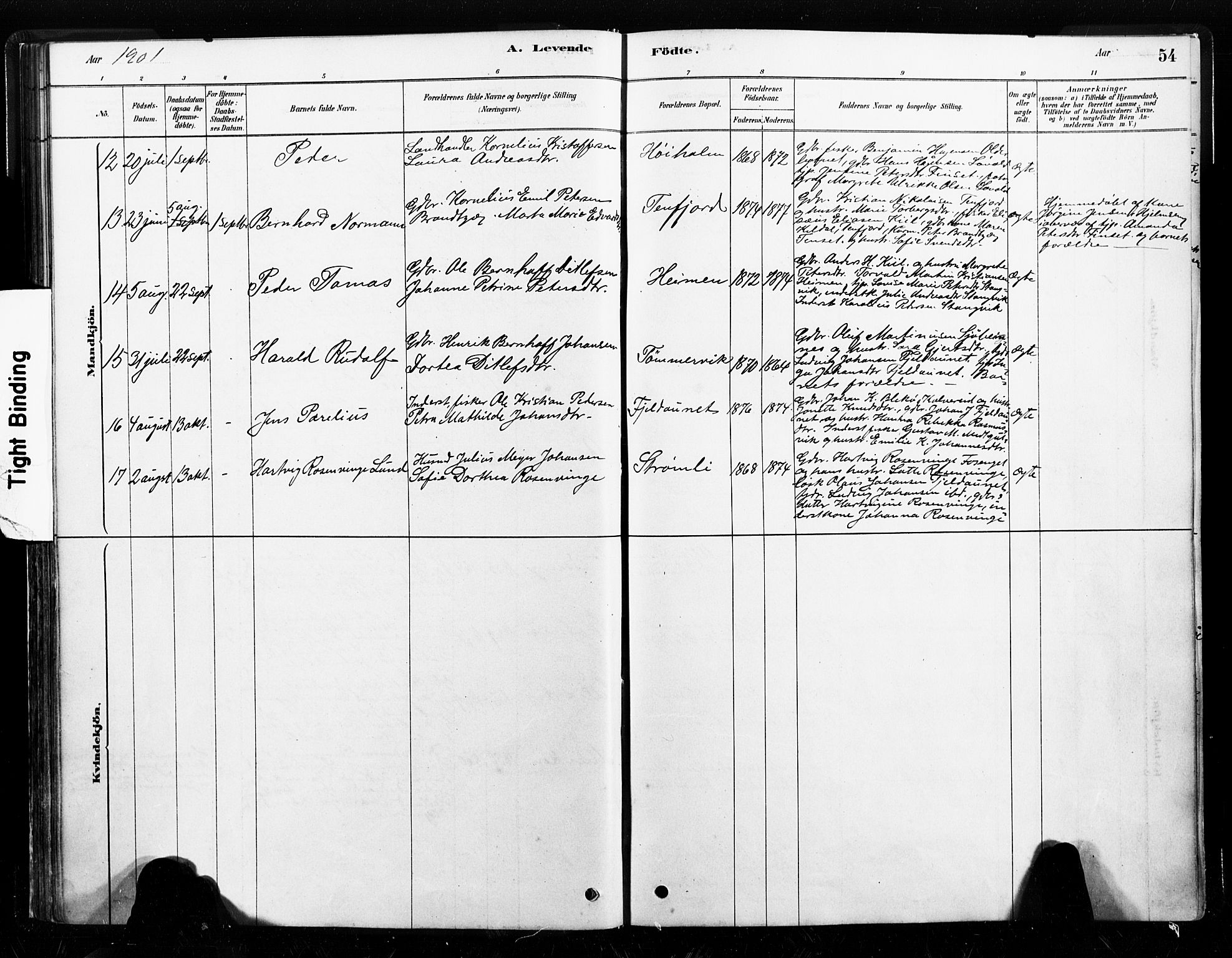Ministerialprotokoller, klokkerbøker og fødselsregistre - Nord-Trøndelag, SAT/A-1458/789/L0705: Parish register (official) no. 789A01, 1878-1910, p. 54