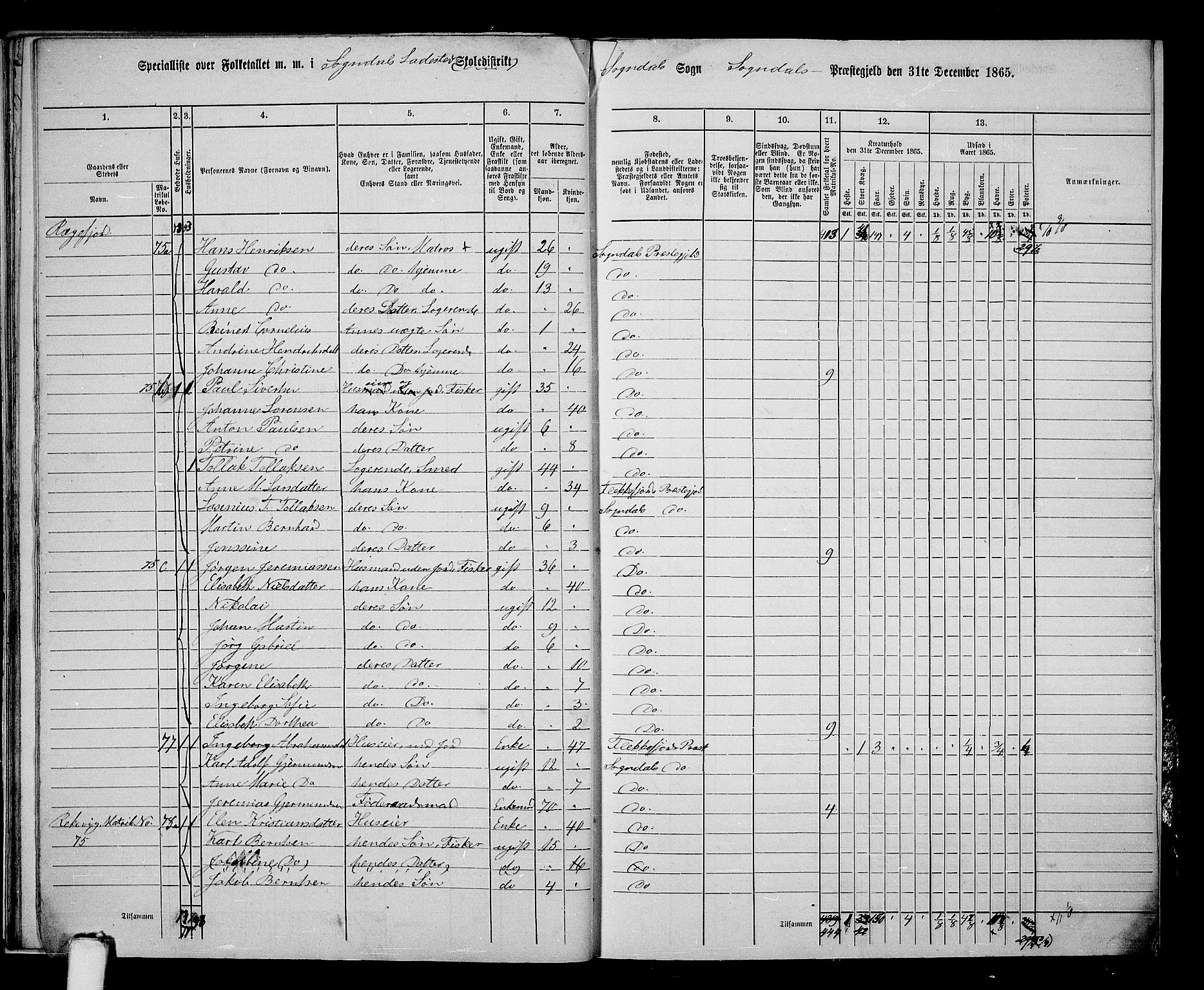 RA, 1865 census for Sokndal, 1865, p. 153