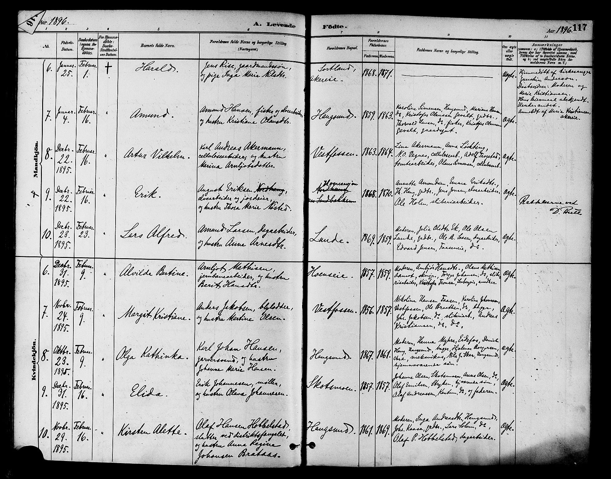 Eiker kirkebøker, AV/SAKO-A-4/F/Fb/L0002: Parish register (official) no. II 2, 1889-1896, p. 117