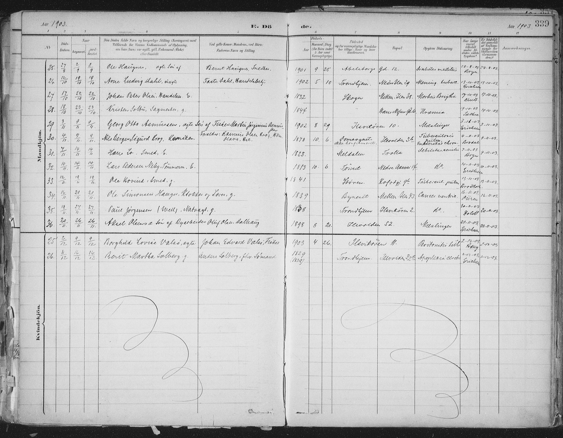 Ministerialprotokoller, klokkerbøker og fødselsregistre - Sør-Trøndelag, SAT/A-1456/603/L0167: Parish register (official) no. 603A06, 1896-1932, p. 339