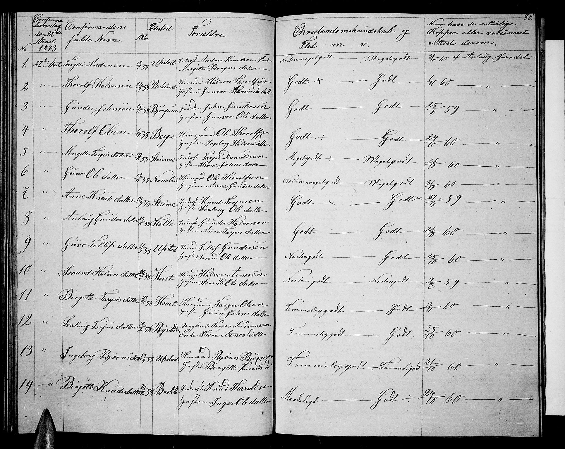 Valle sokneprestkontor, SAK/1111-0044/F/Fb/Fbb/L0001: Parish register (copy) no. B 1, 1848-1875, p. 85