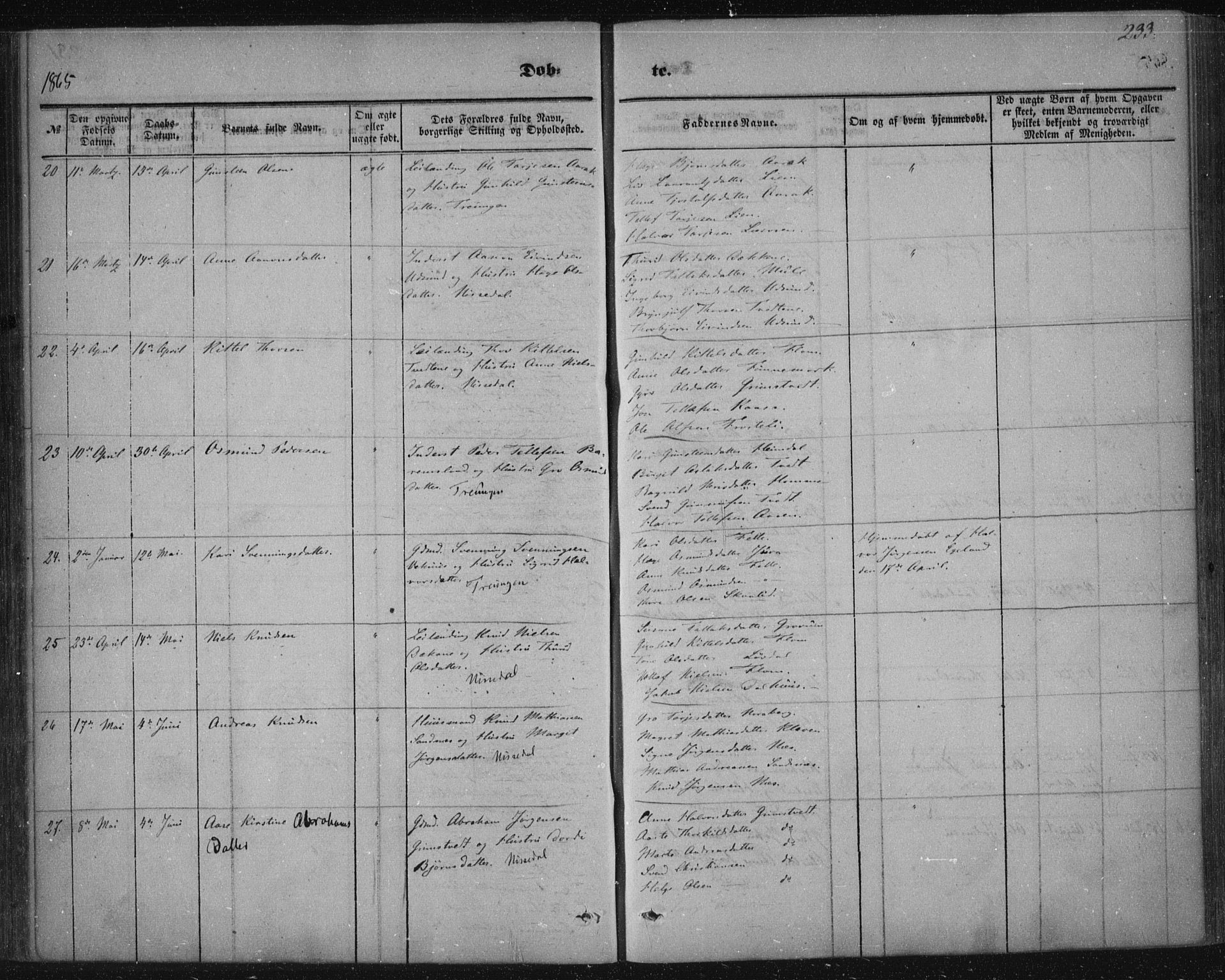 Nissedal kirkebøker, AV/SAKO-A-288/F/Fa/L0003: Parish register (official) no. I 3, 1846-1870, p. 232-233