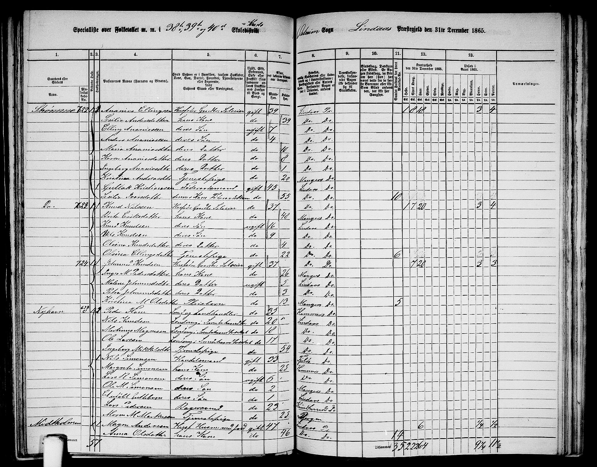 RA, 1865 census for Lindås, 1865, p. 251