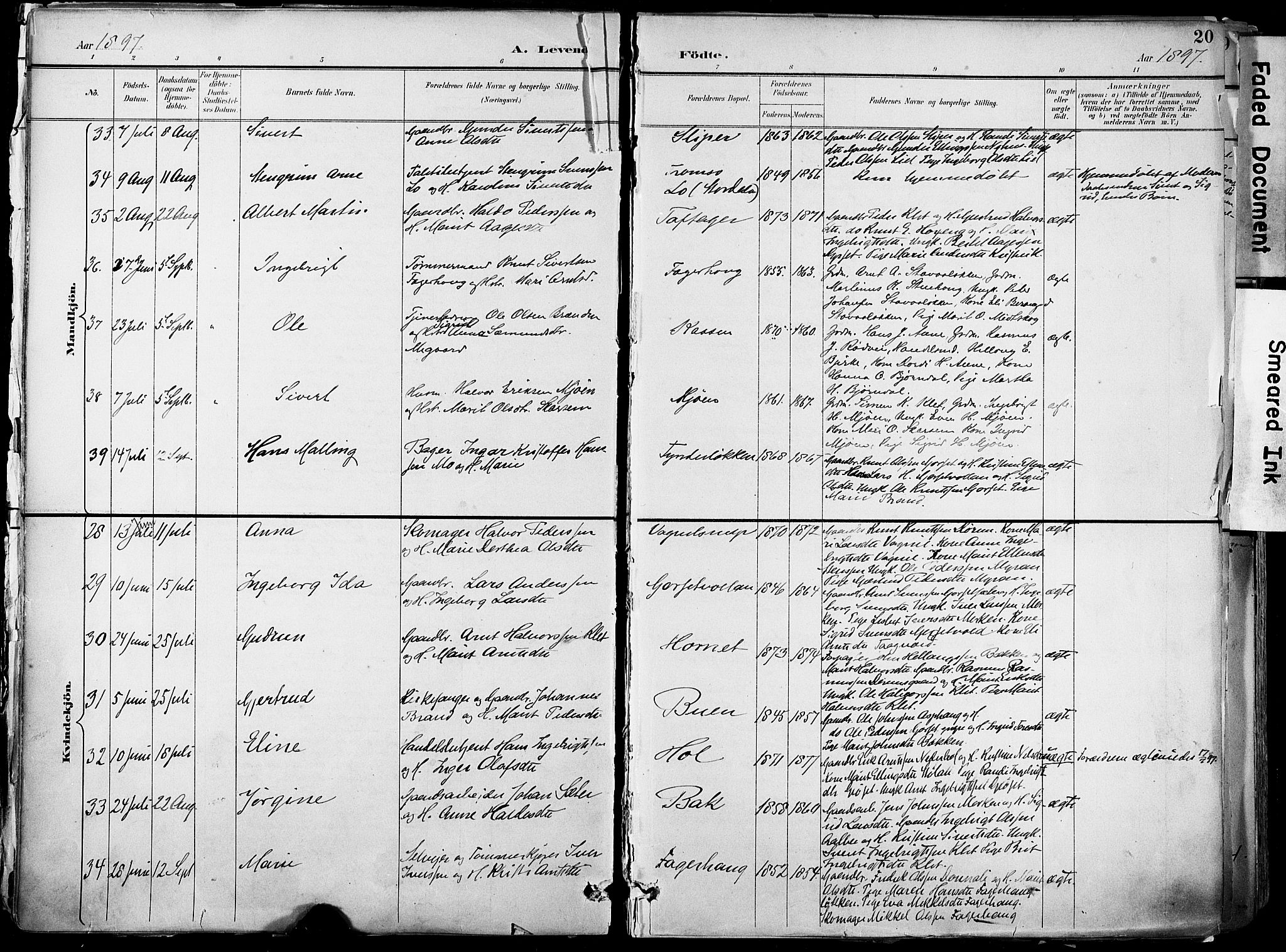 Ministerialprotokoller, klokkerbøker og fødselsregistre - Sør-Trøndelag, AV/SAT-A-1456/678/L0902: Parish register (official) no. 678A11, 1895-1911, p. 20