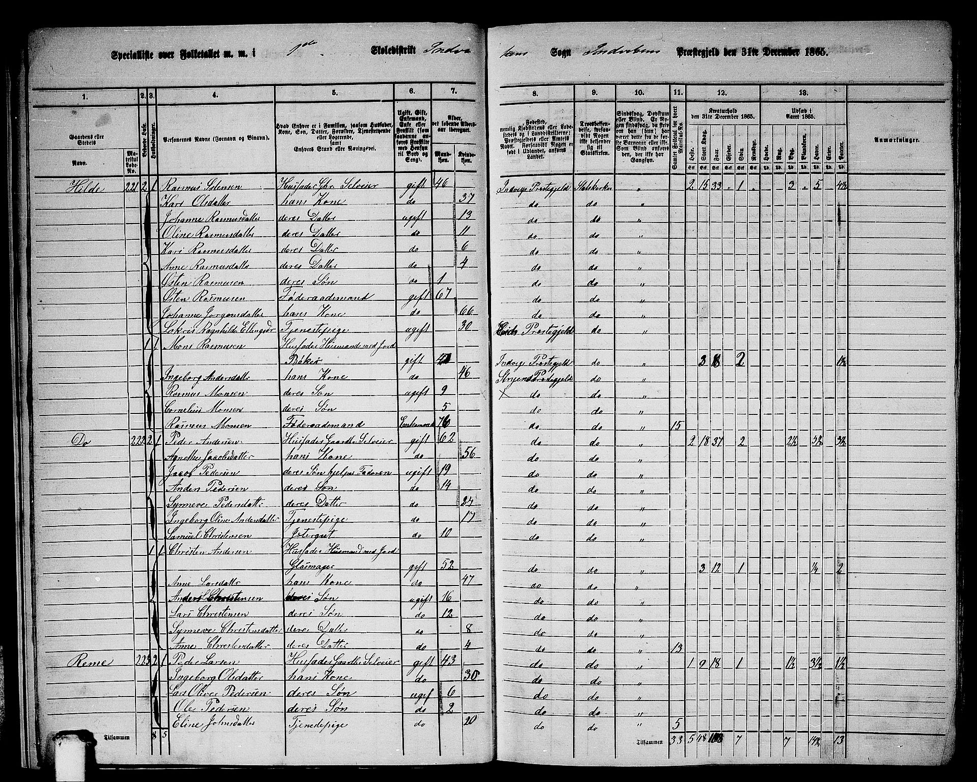 RA, 1865 census for Innvik, 1865, p. 15