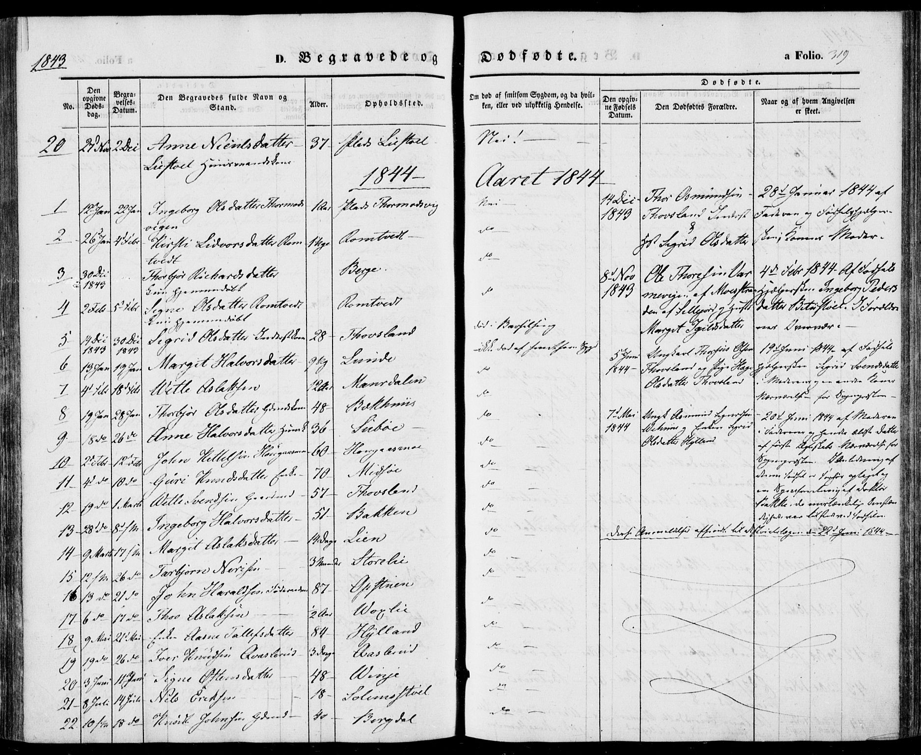 Vinje kirkebøker, SAKO/A-312/F/Fa/L0004: Parish register (official) no. I 4, 1843-1869, p. 319