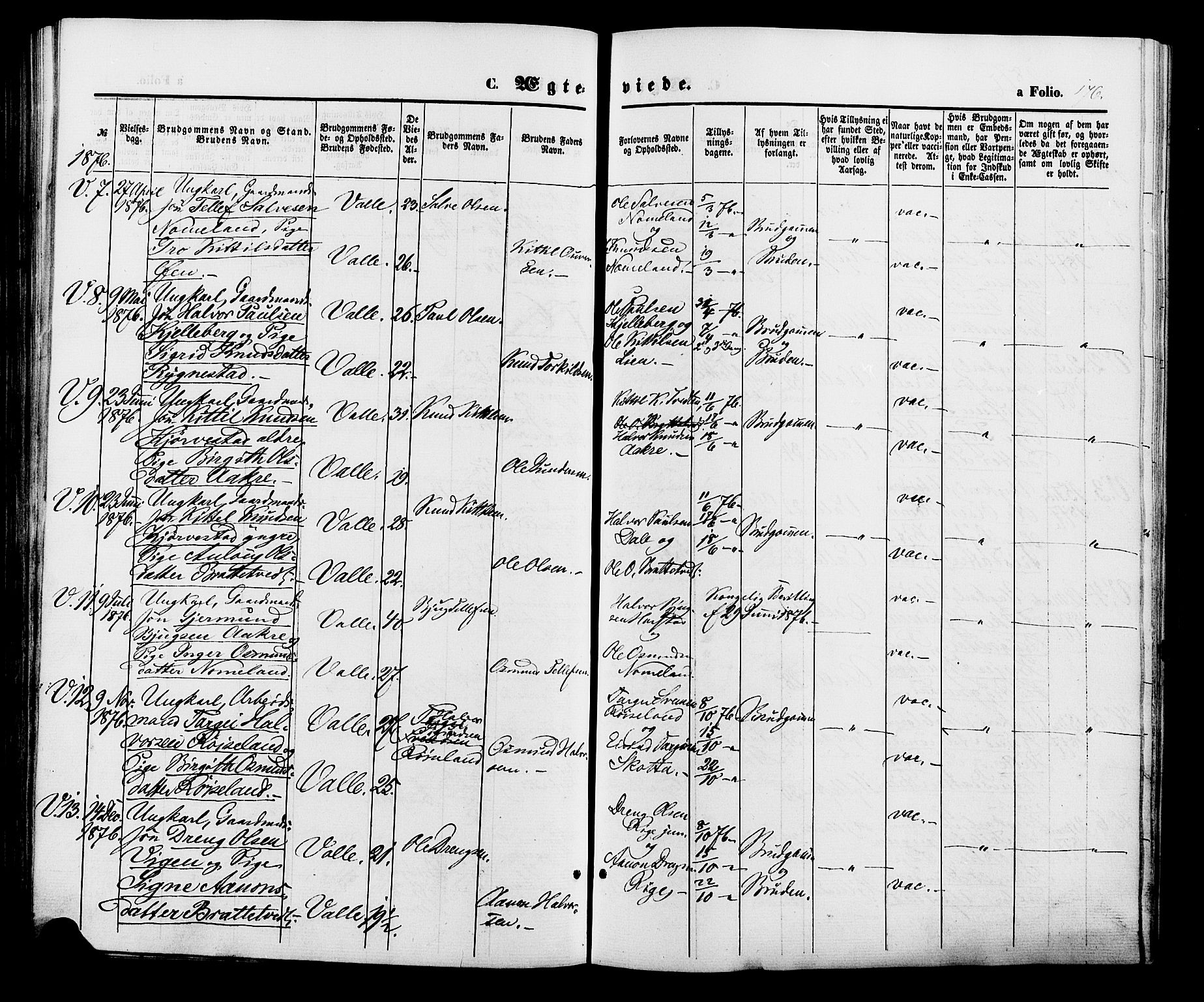 Valle sokneprestkontor, SAK/1111-0044/F/Fa/Fac/L0008: Parish register (official) no. A 8, 1868-1882, p. 176