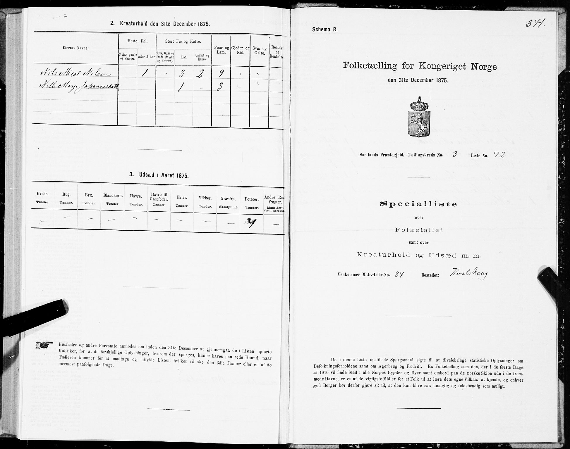 SAT, 1875 census for 1870P Sortland, 1875, p. 2341
