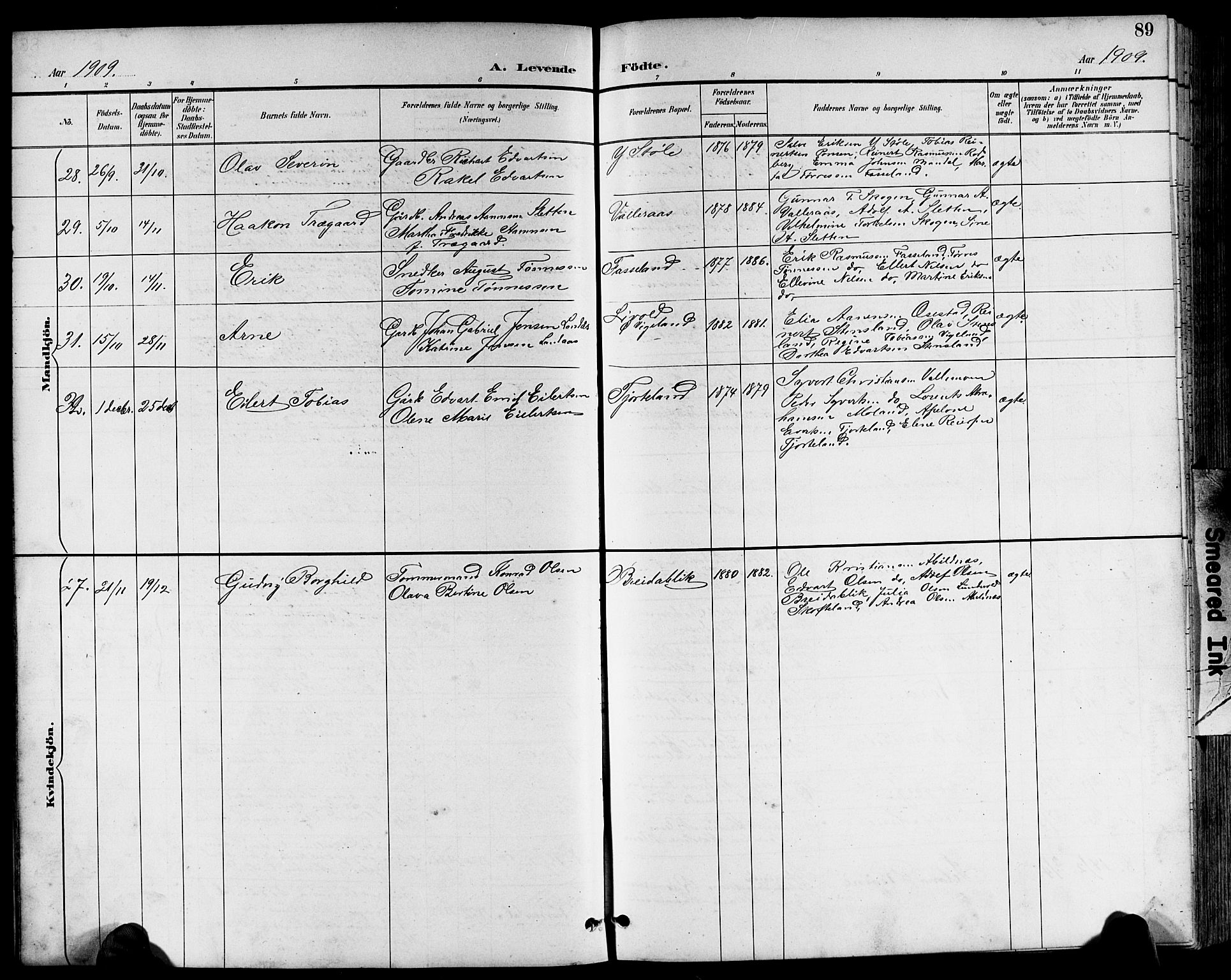 Sør-Audnedal sokneprestkontor, AV/SAK-1111-0039/F/Fb/Fbb/L0006: Parish register (copy) no. B 6, 1893-1915, p. 89