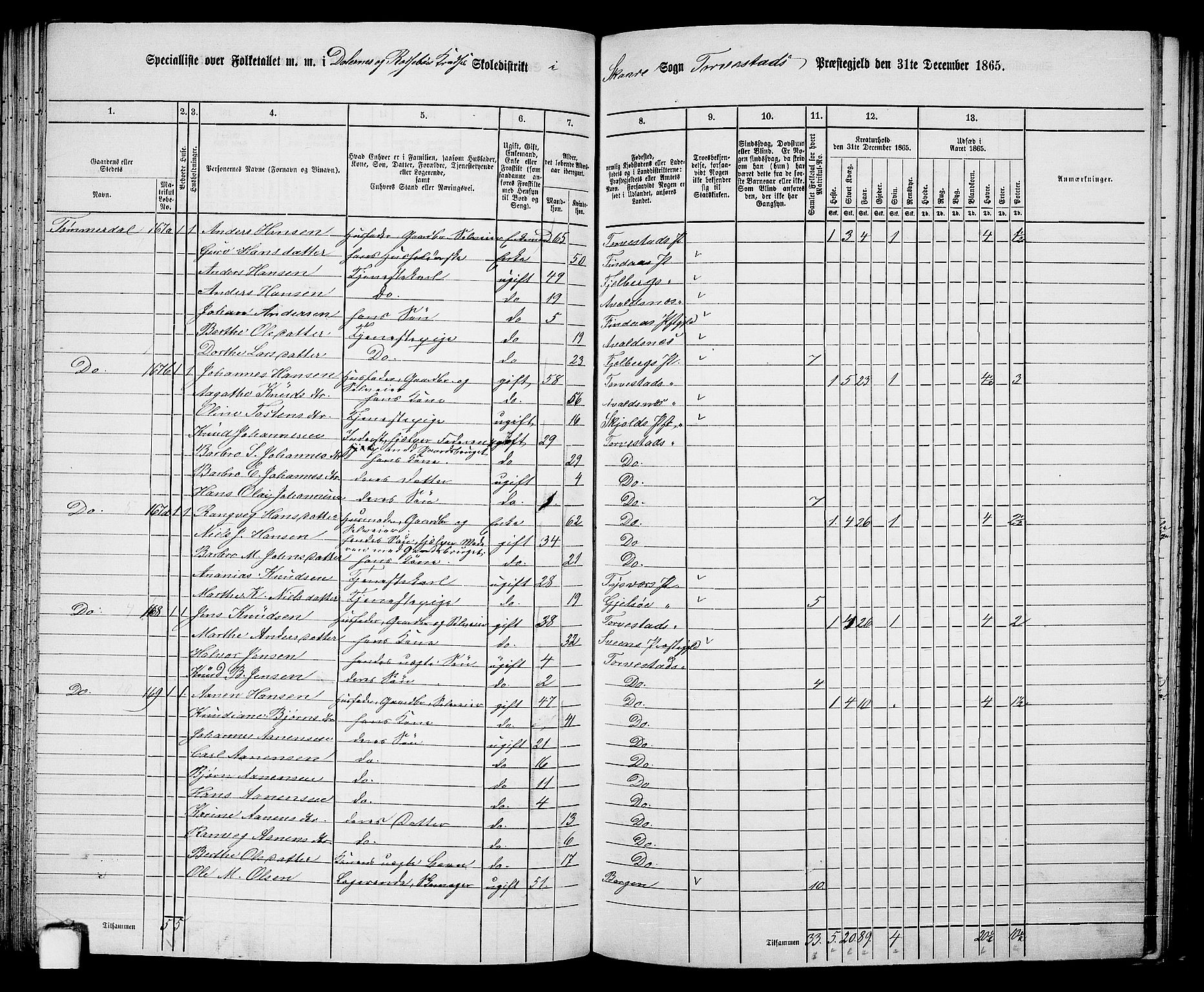 RA, 1865 census for Torvastad/Torvastad, Skåre og Utsira, 1865, p. 102