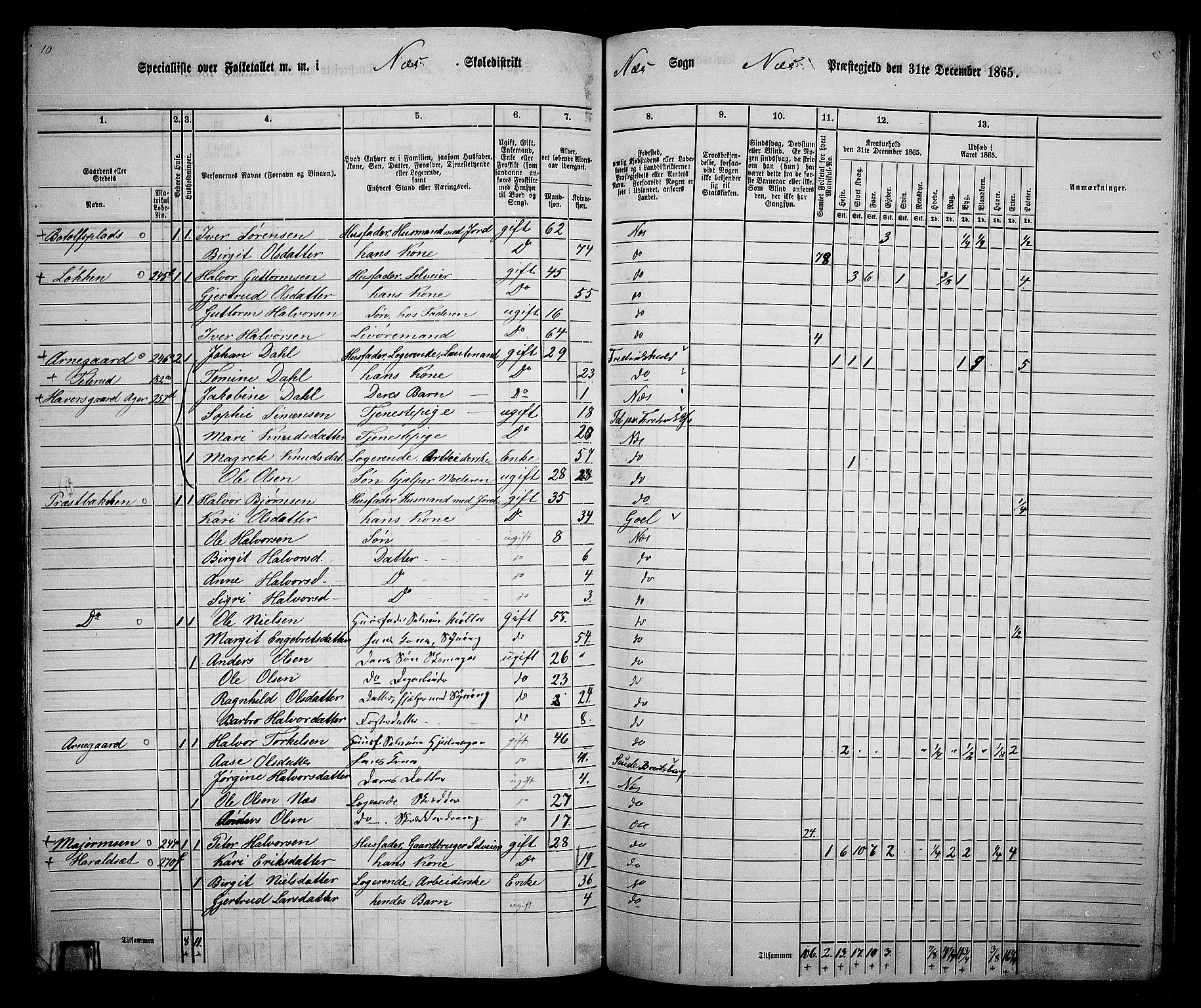 RA, 1865 census for Nes, 1865, p. 171