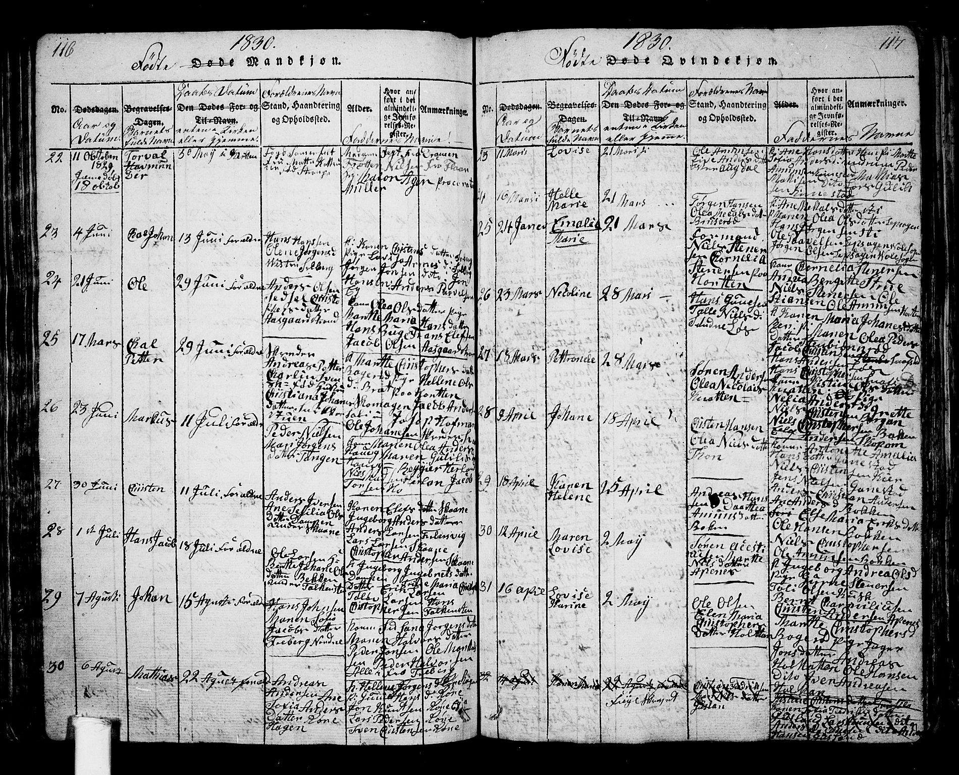 Borre kirkebøker, AV/SAKO-A-338/G/Ga/L0001: Parish register (copy) no. I 1, 1815-1851, p. 116-117