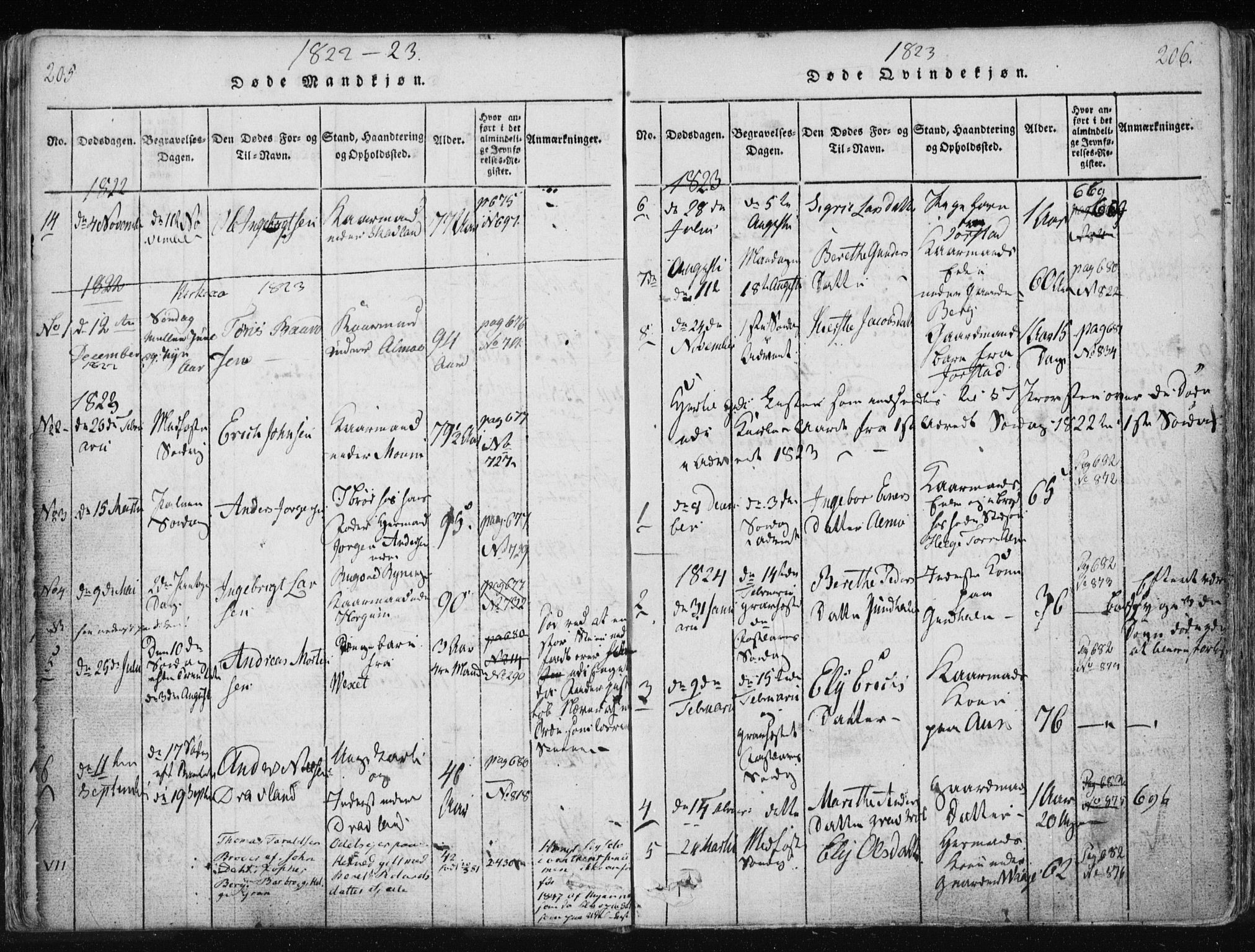 Ministerialprotokoller, klokkerbøker og fødselsregistre - Nord-Trøndelag, SAT/A-1458/749/L0469: Parish register (official) no. 749A03, 1817-1857, p. 205-206