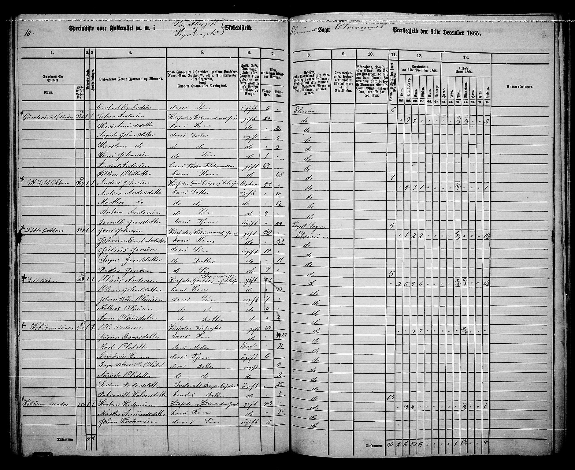 RA, 1865 census for Elverum, 1865, p. 226