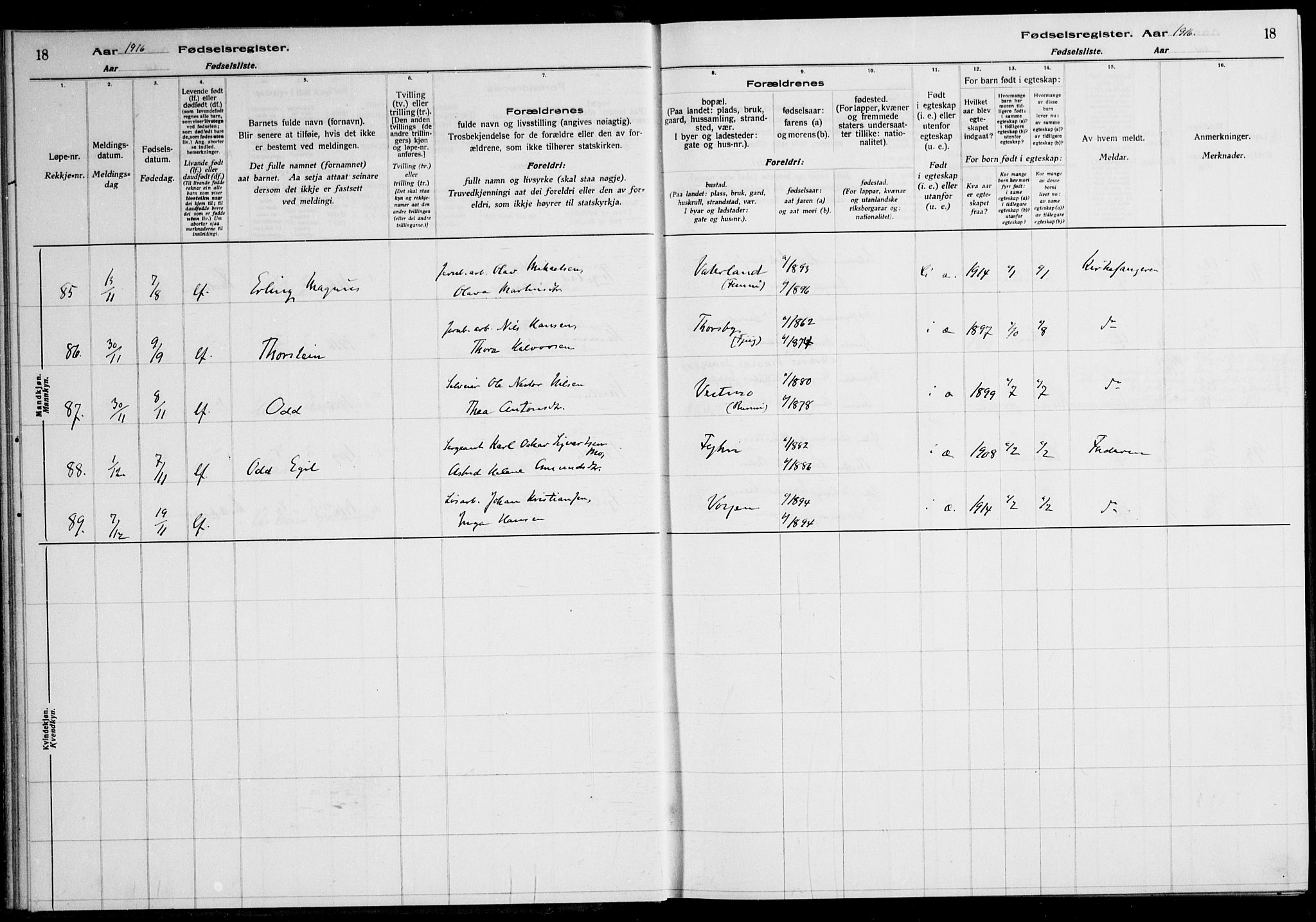 Nes prestekontor Kirkebøker, AV/SAO-A-10410/J/Ja/L0001: Birth register no. 1, 1916-1926, p. 18