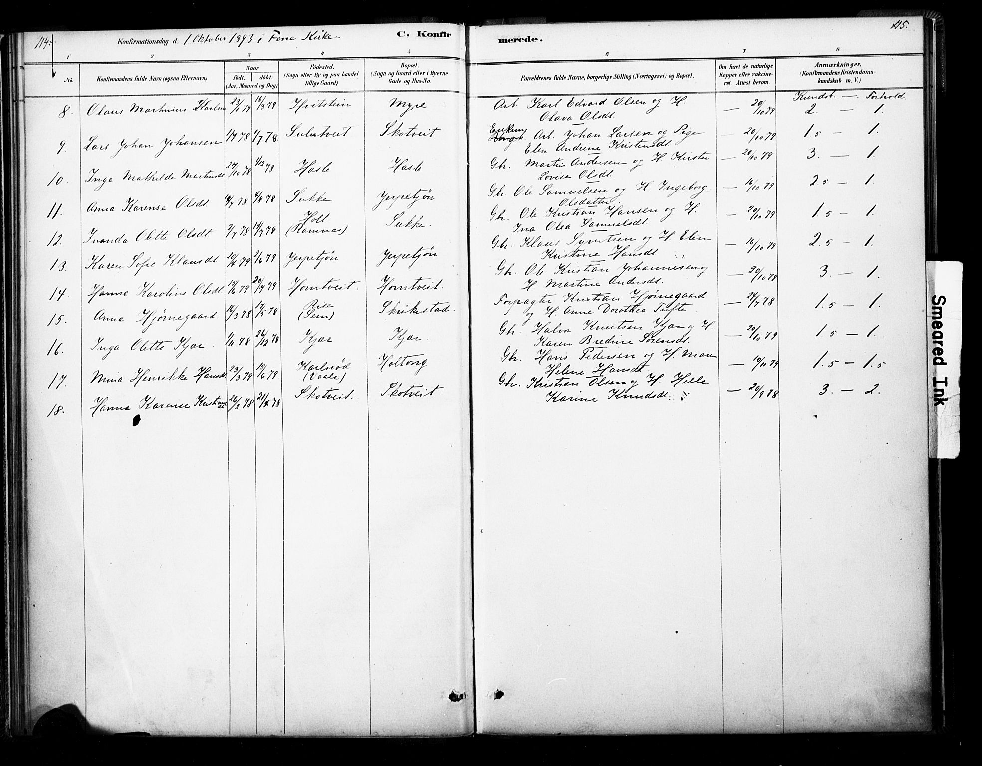 Ramnes kirkebøker, SAKO/A-314/F/Fb/L0001: Parish register (official) no. II 1, 1878-1894, p. 114-115