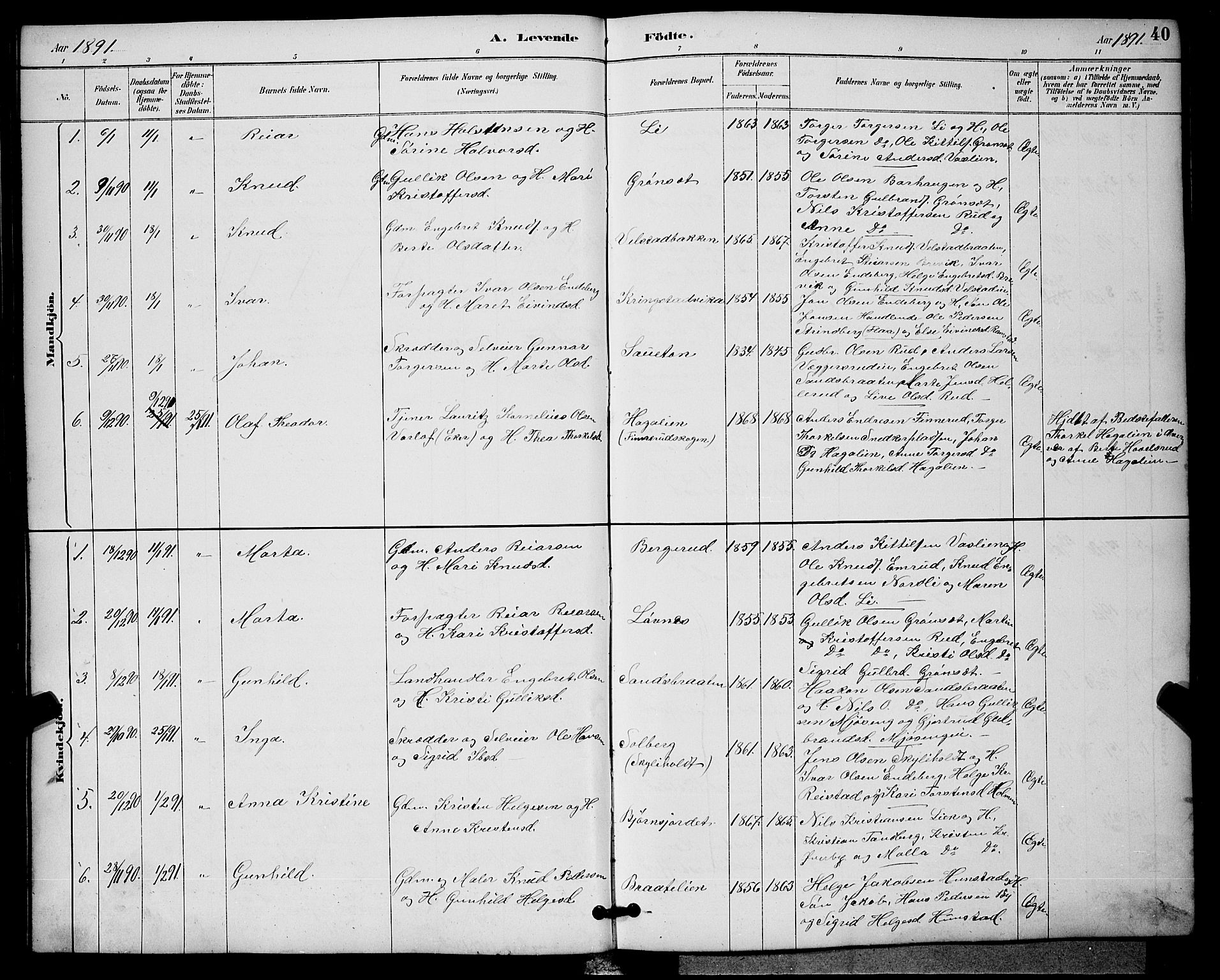 Sigdal kirkebøker, AV/SAKO-A-245/G/Ga/L0005: Parish register (copy) no. I 5, 1886-1900, p. 40