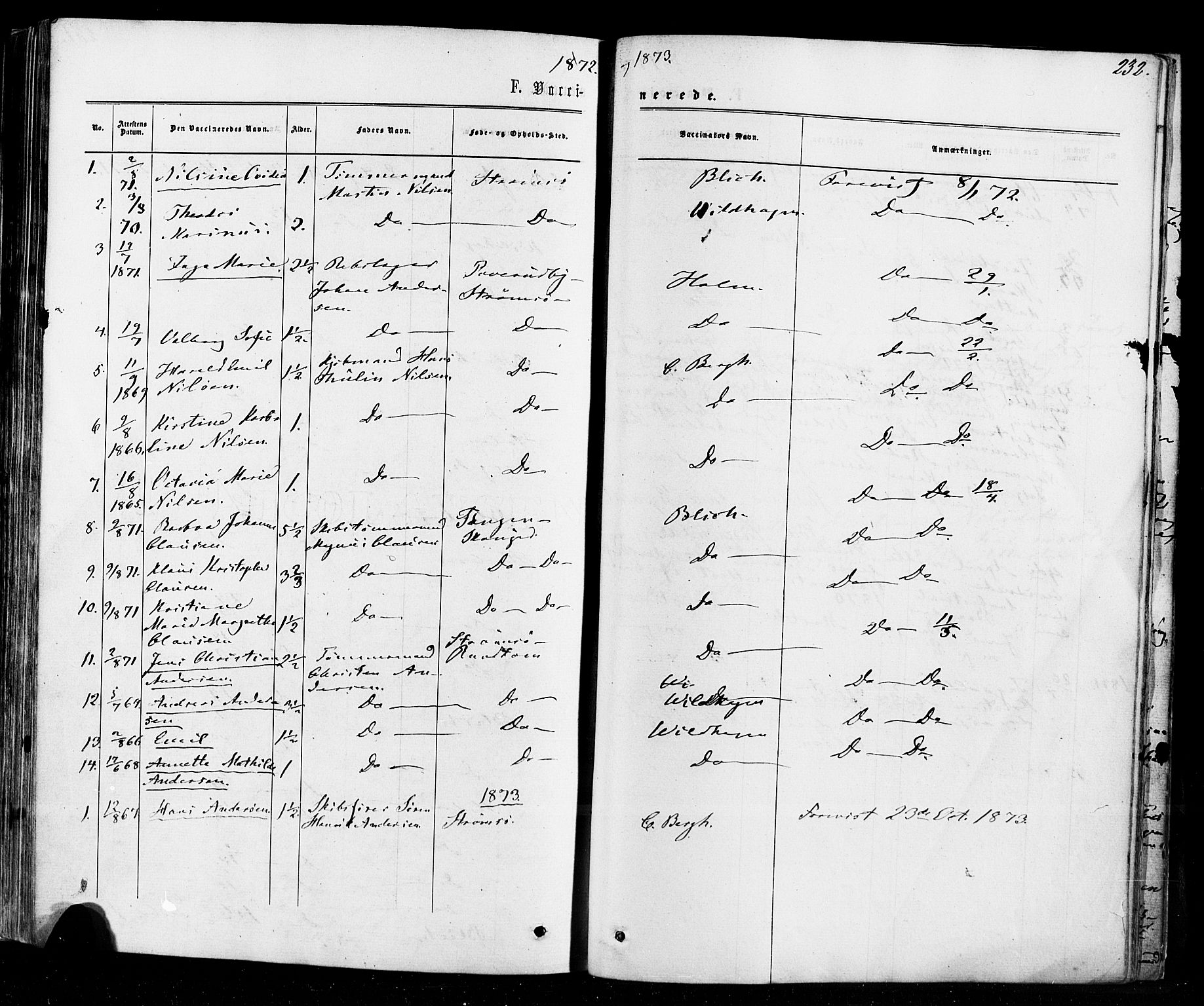Strømsø kirkebøker, SAKO/A-246/F/Fa/L0018: Parish register (official) no. I 18, 1865-1878, p. 232