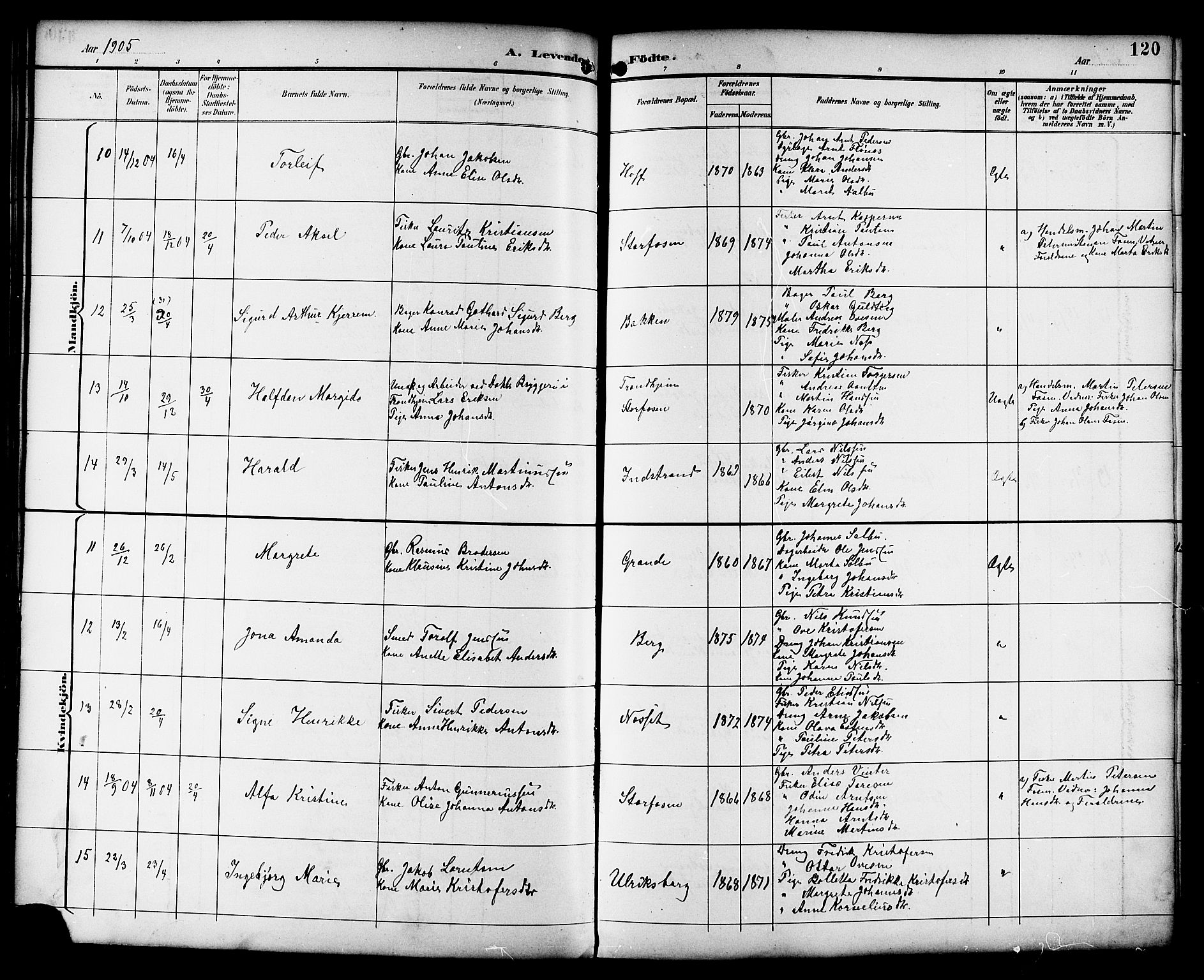 Ministerialprotokoller, klokkerbøker og fødselsregistre - Sør-Trøndelag, AV/SAT-A-1456/659/L0746: Parish register (copy) no. 659C03, 1893-1912, p. 120