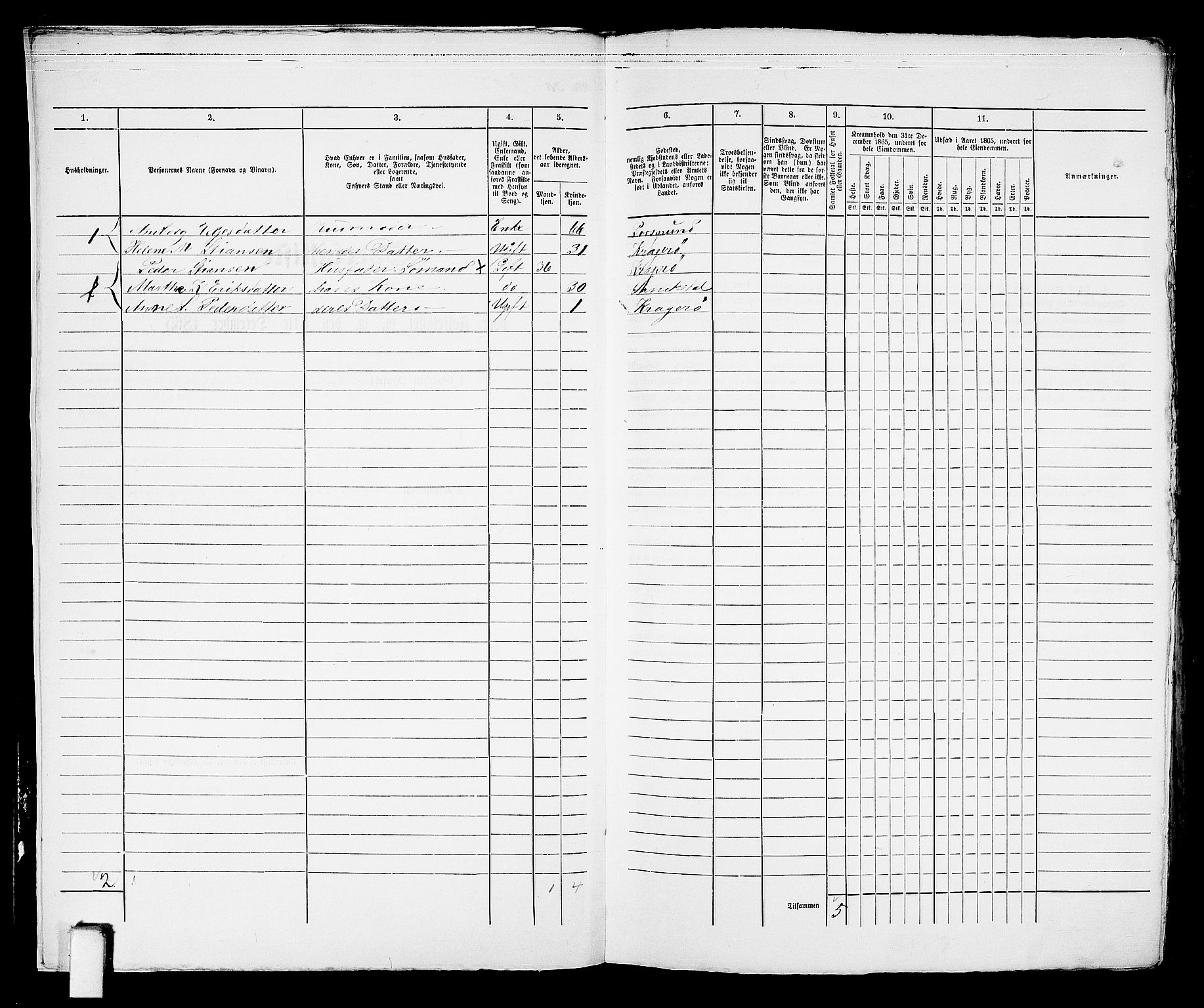 RA, 1865 census for Kragerø/Kragerø, 1865, p. 619