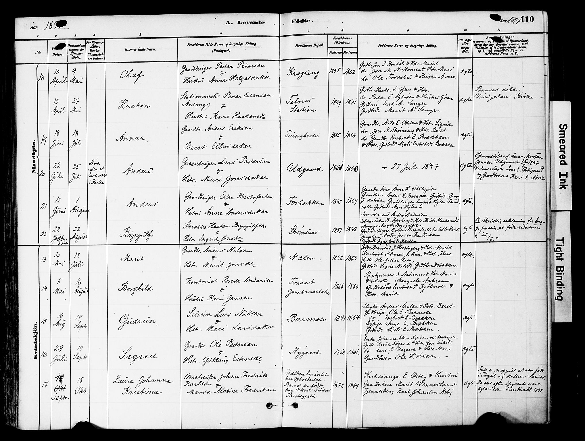 Tynset prestekontor, SAH/PREST-058/H/Ha/Haa/L0022: Parish register (official) no. 22, 1880-1899, p. 110