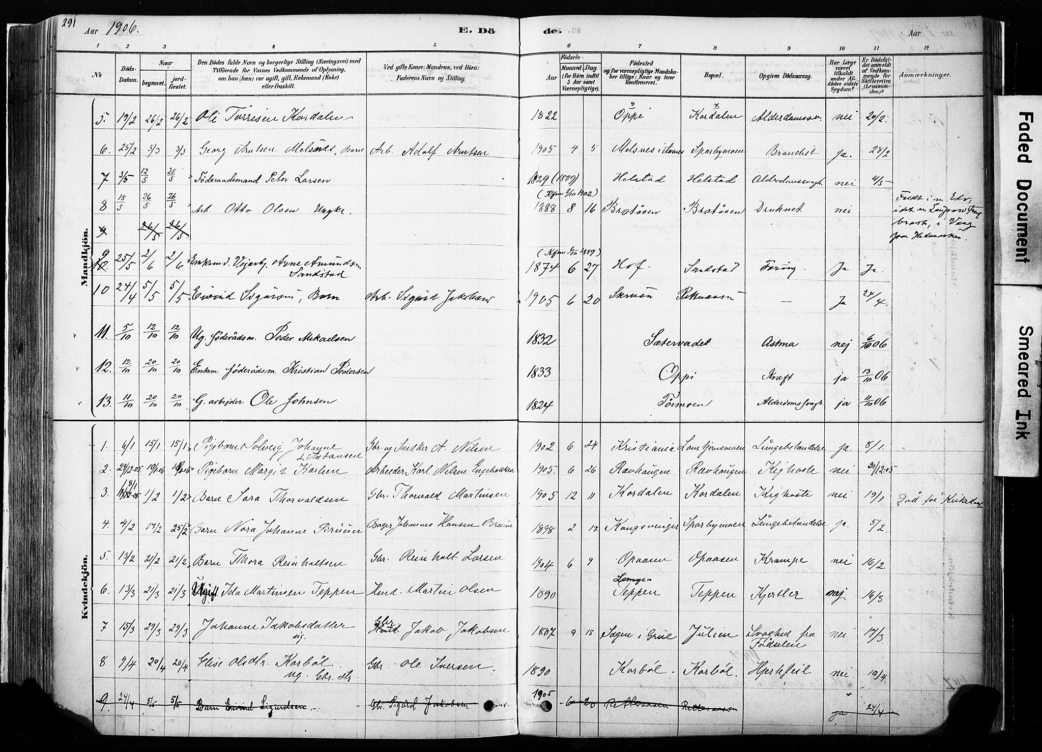 Hof prestekontor, AV/SAH-PREST-038/H/Ha/Haa/L0010: Parish register (official) no. 10, 1878-1909, p. 291