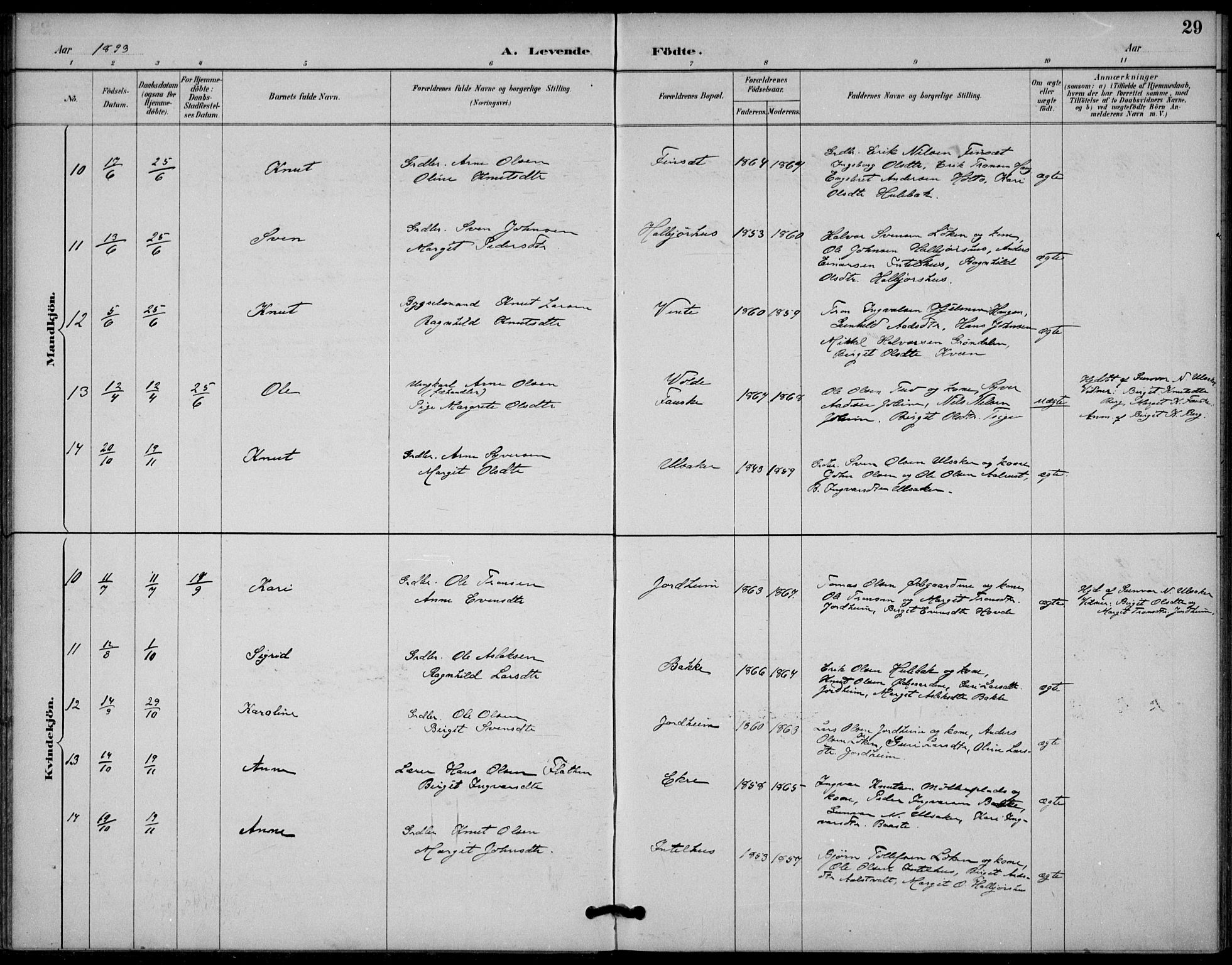 Gol kirkebøker, SAKO/A-226/F/Fb/L0001: Parish register (official) no. II 1, 1887-1900, p. 29