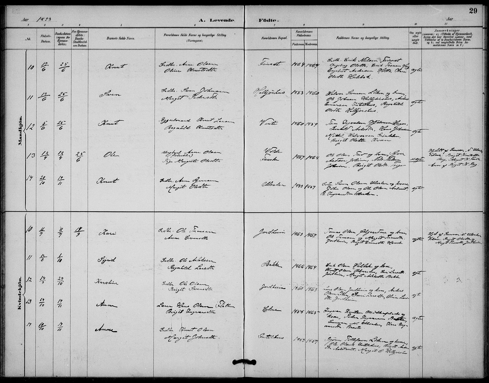 Gol kirkebøker, AV/SAKO-A-226/F/Fb/L0001: Parish register (official) no. II 1, 1887-1900, p. 29