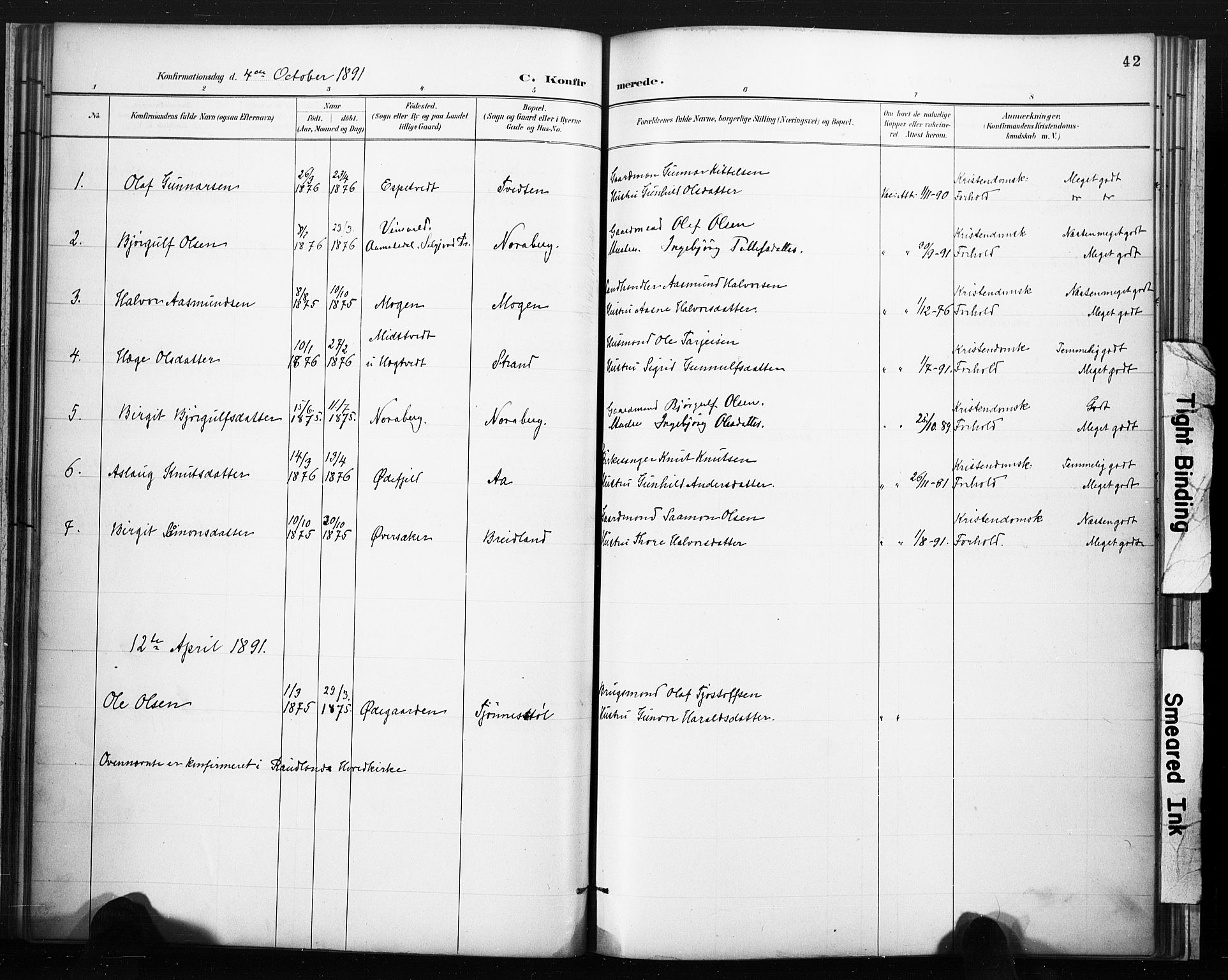 Lårdal kirkebøker, SAKO/A-284/F/Fc/L0002: Parish register (official) no. III 2, 1887-1906, p. 42