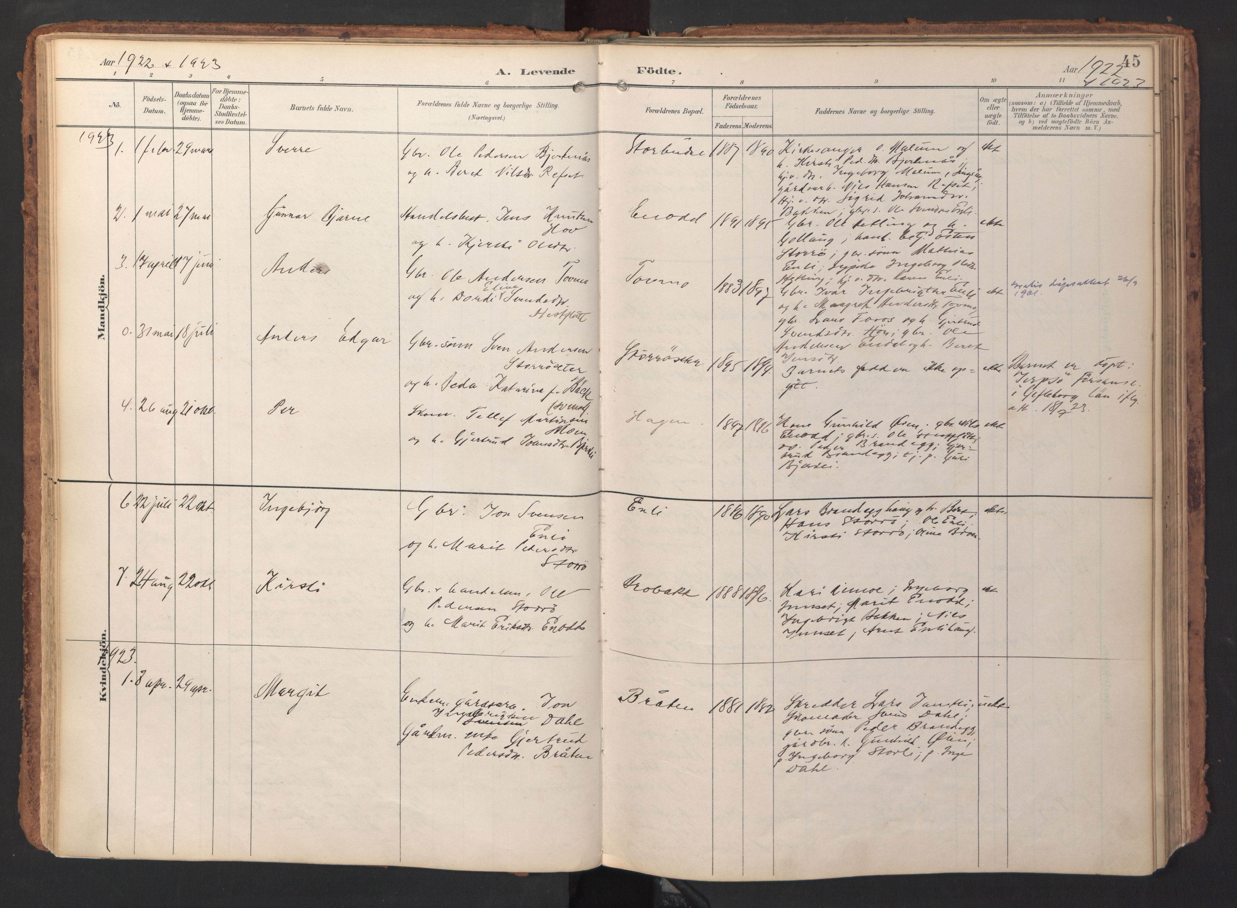 Ministerialprotokoller, klokkerbøker og fødselsregistre - Sør-Trøndelag, SAT/A-1456/690/L1050: Parish register (official) no. 690A01, 1889-1929, p. 45
