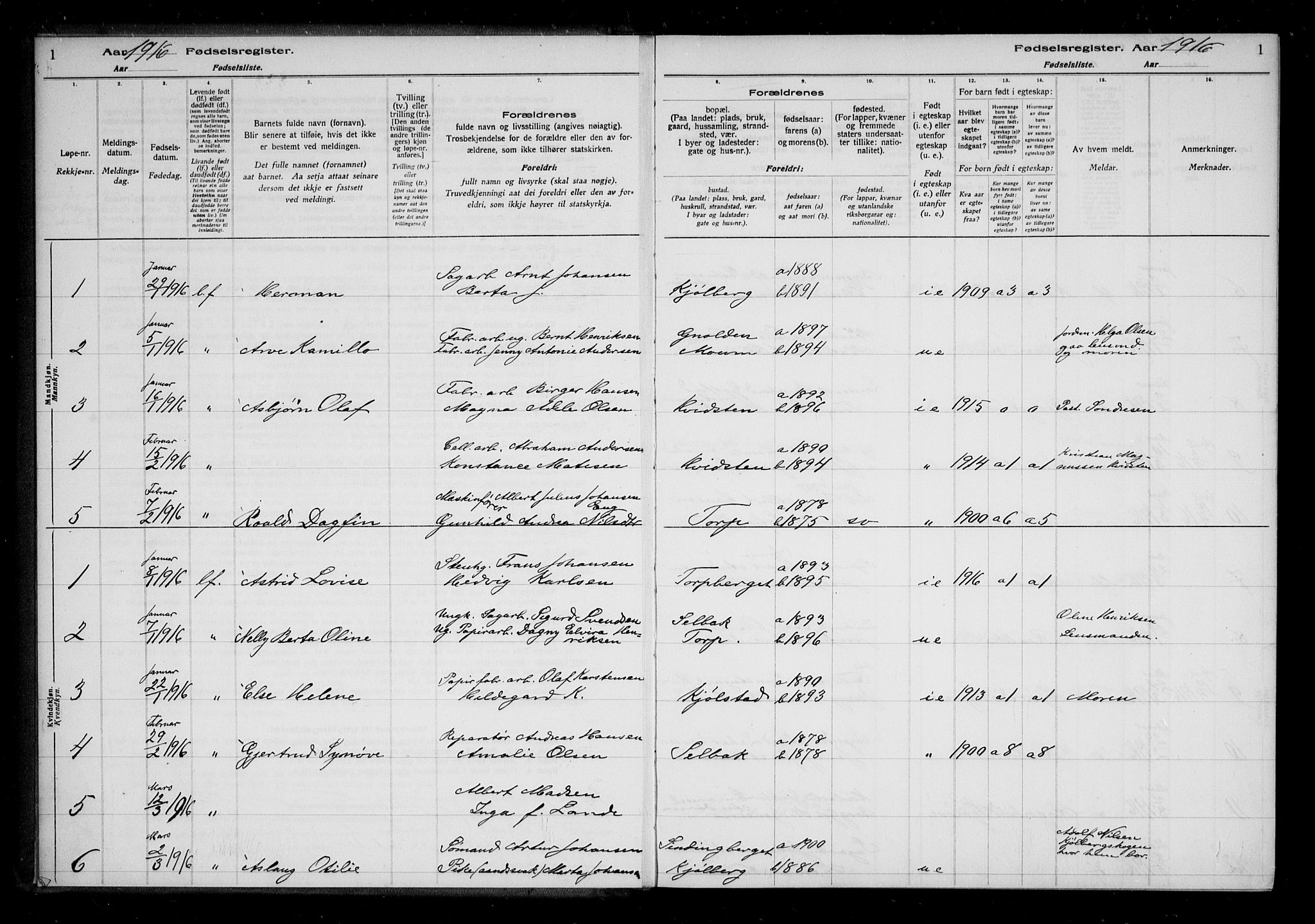 Borge prestekontor Kirkebøker, SAO/A-10903/J/Ja/L0001: Birth register no. I 1, 1916-1925, p. 1