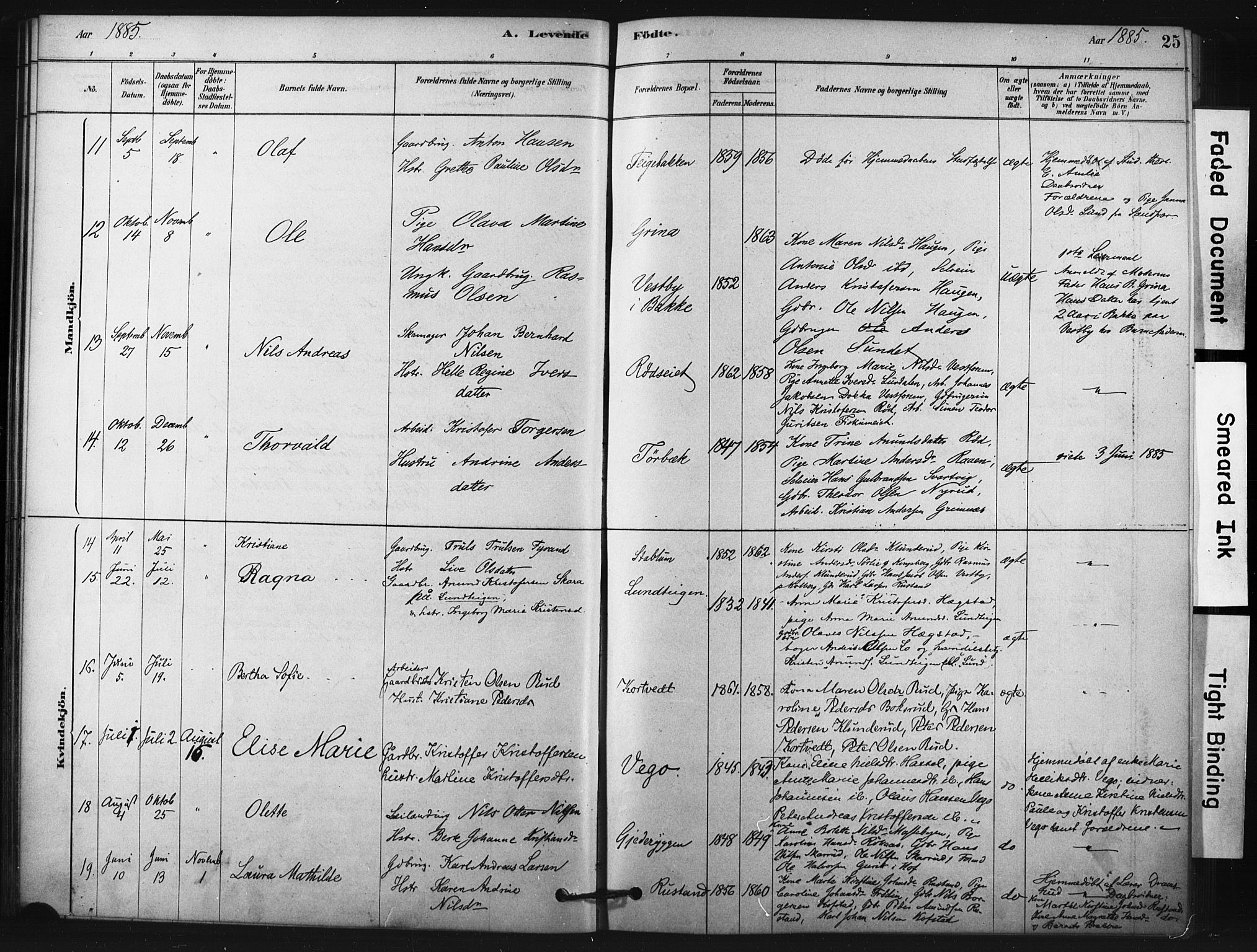 Fiskum kirkebøker, AV/SAKO-A-15/F/Fa/L0002: Parish register (official) no. 2, 1878-1890, p. 25