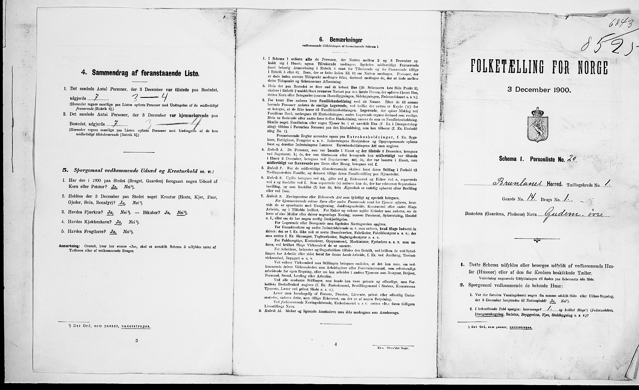 RA, 1900 census for Brunlanes, 1900, p. 34