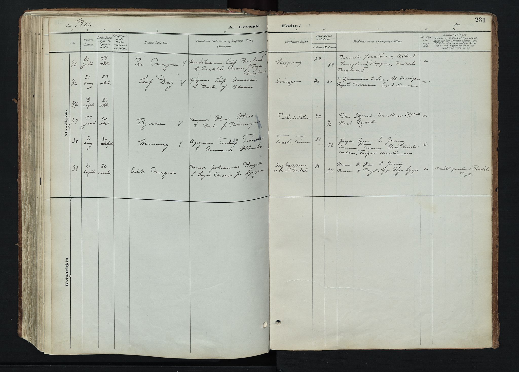 Stor-Elvdal prestekontor, AV/SAH-PREST-052/H/Ha/Haa/L0004: Parish register (official) no. 4, 1890-1922, p. 231