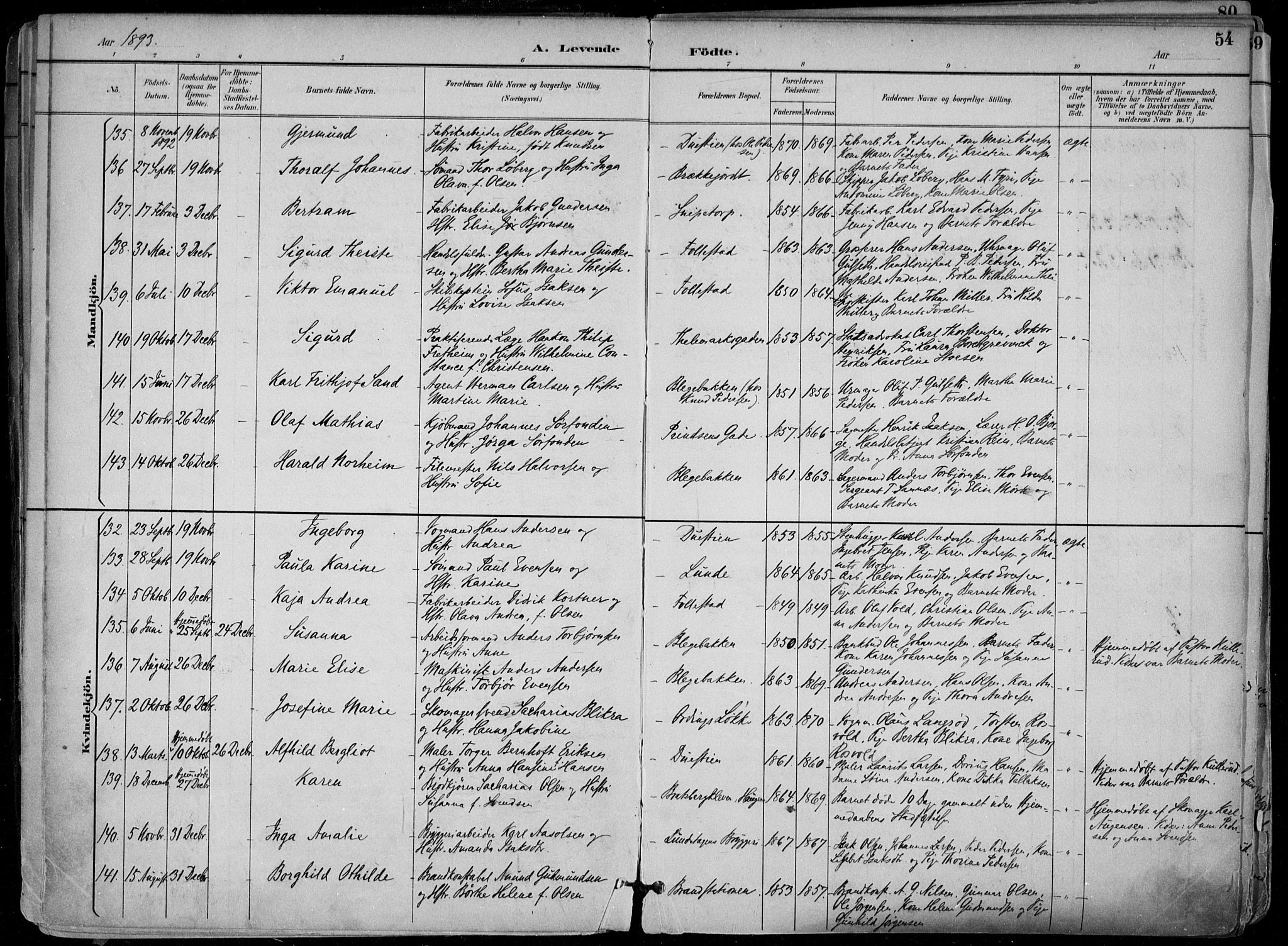 Skien kirkebøker, SAKO/A-302/F/Fa/L0010: Parish register (official) no. 10, 1891-1899, p. 54