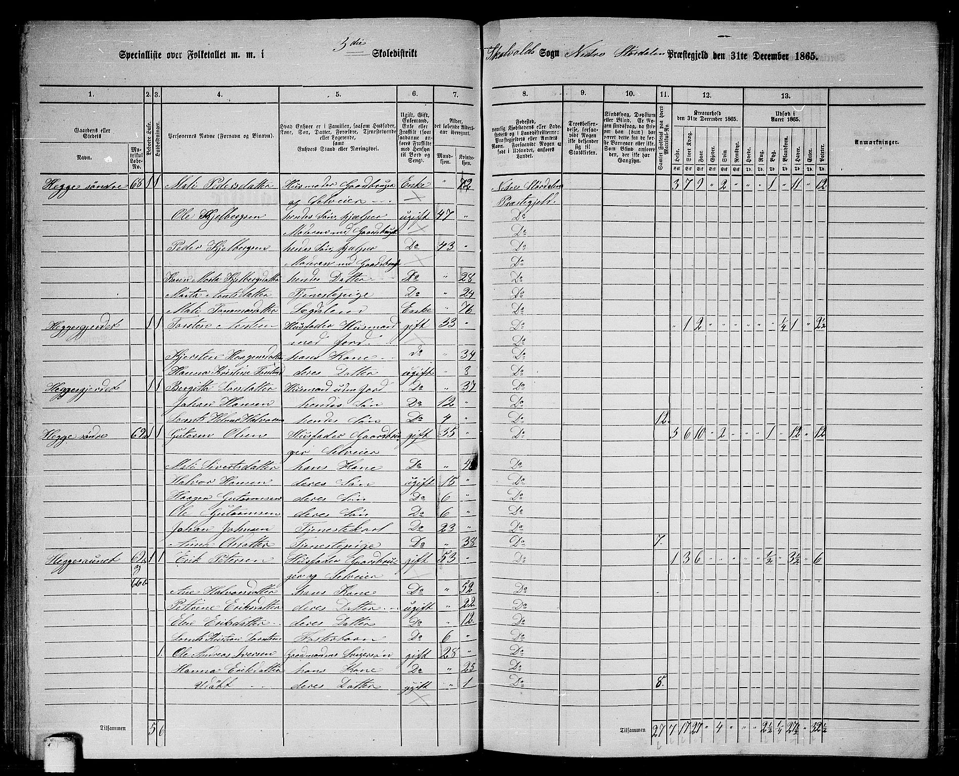 RA, 1865 census for Nedre Stjørdal, 1865, p. 62