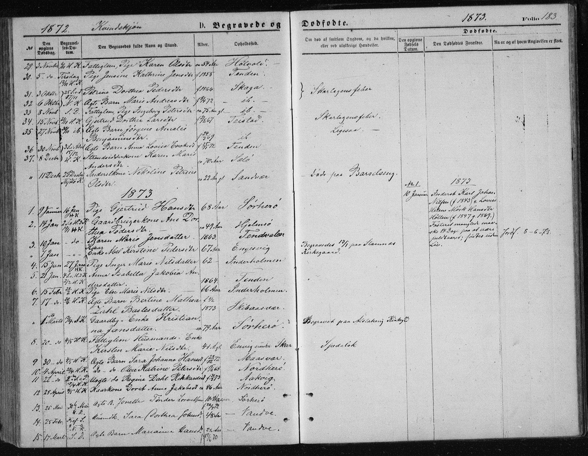 Ministerialprotokoller, klokkerbøker og fødselsregistre - Nordland, SAT/A-1459/834/L0506: Parish register (official) no. 834A04, 1872-1878, p. 183